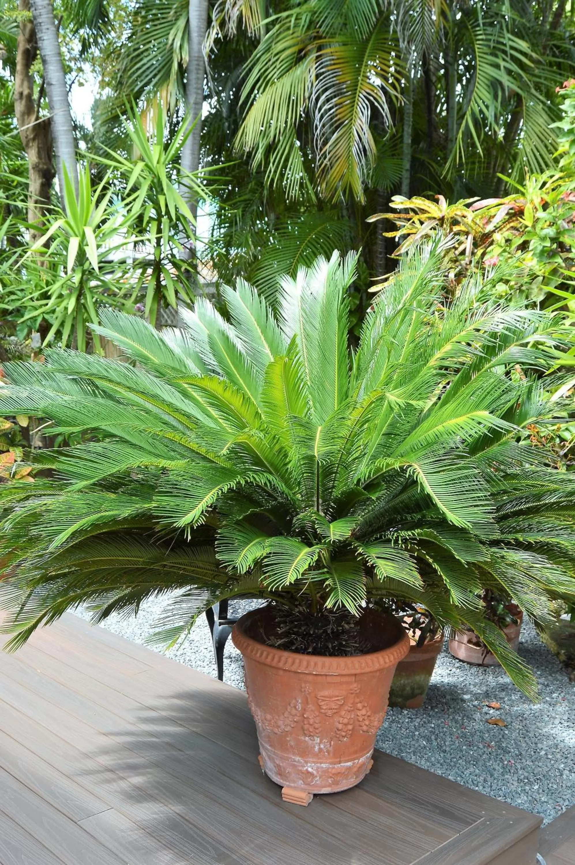 Decorative detail in Douglas House