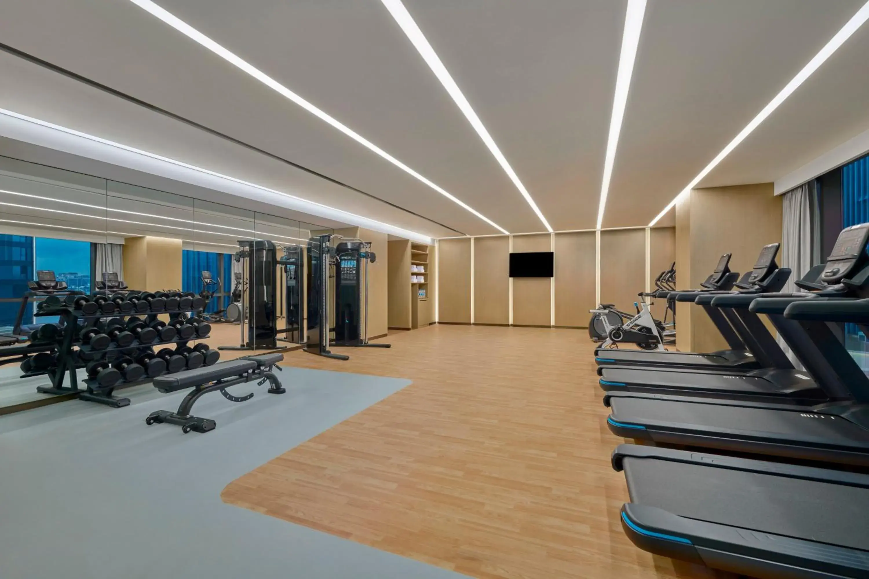 Fitness centre/facilities, Fitness Center/Facilities in Hilton Garden Inn Shenzhen Guangming