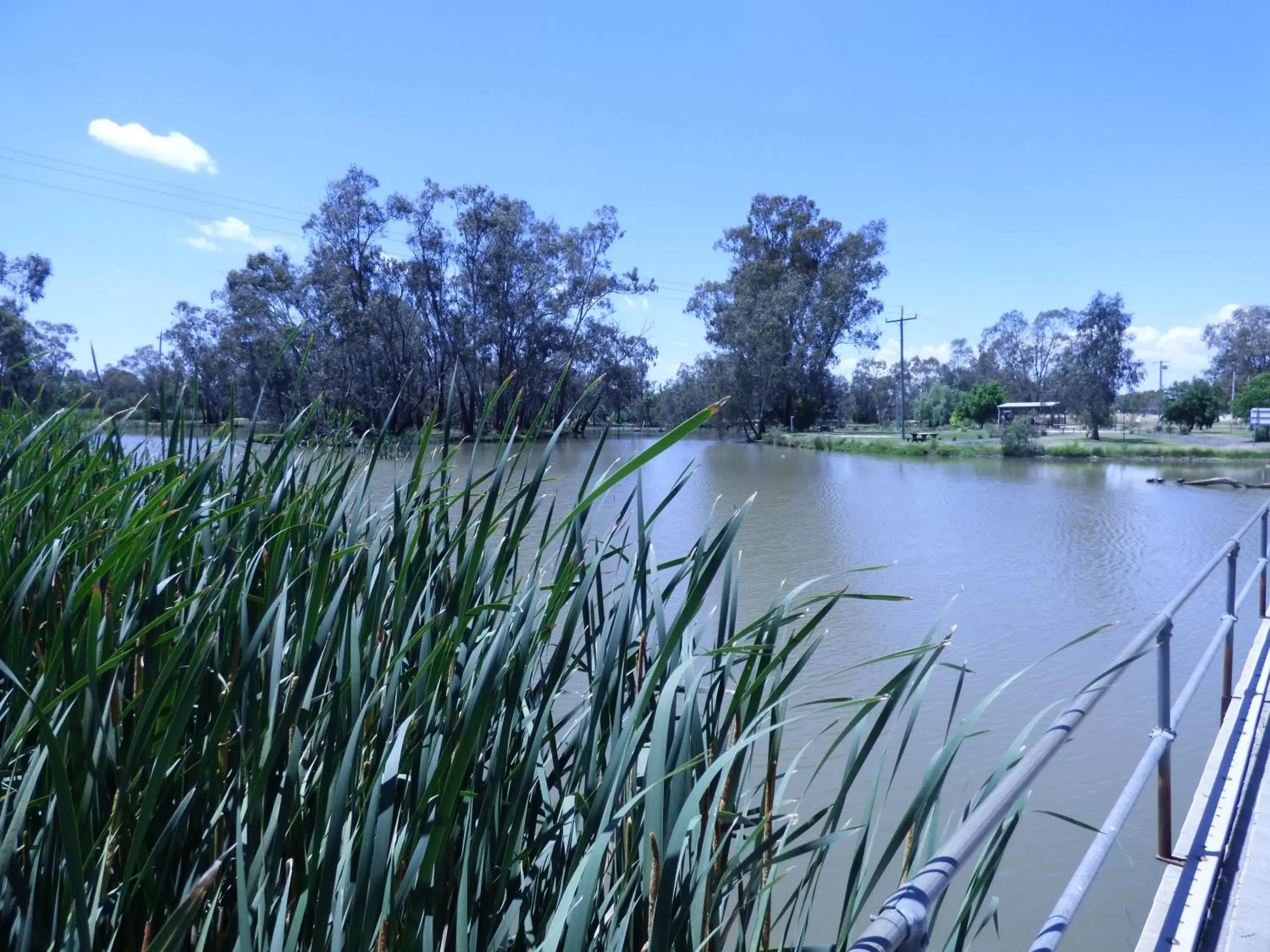 Lake view in Ben Hall Motor Inn