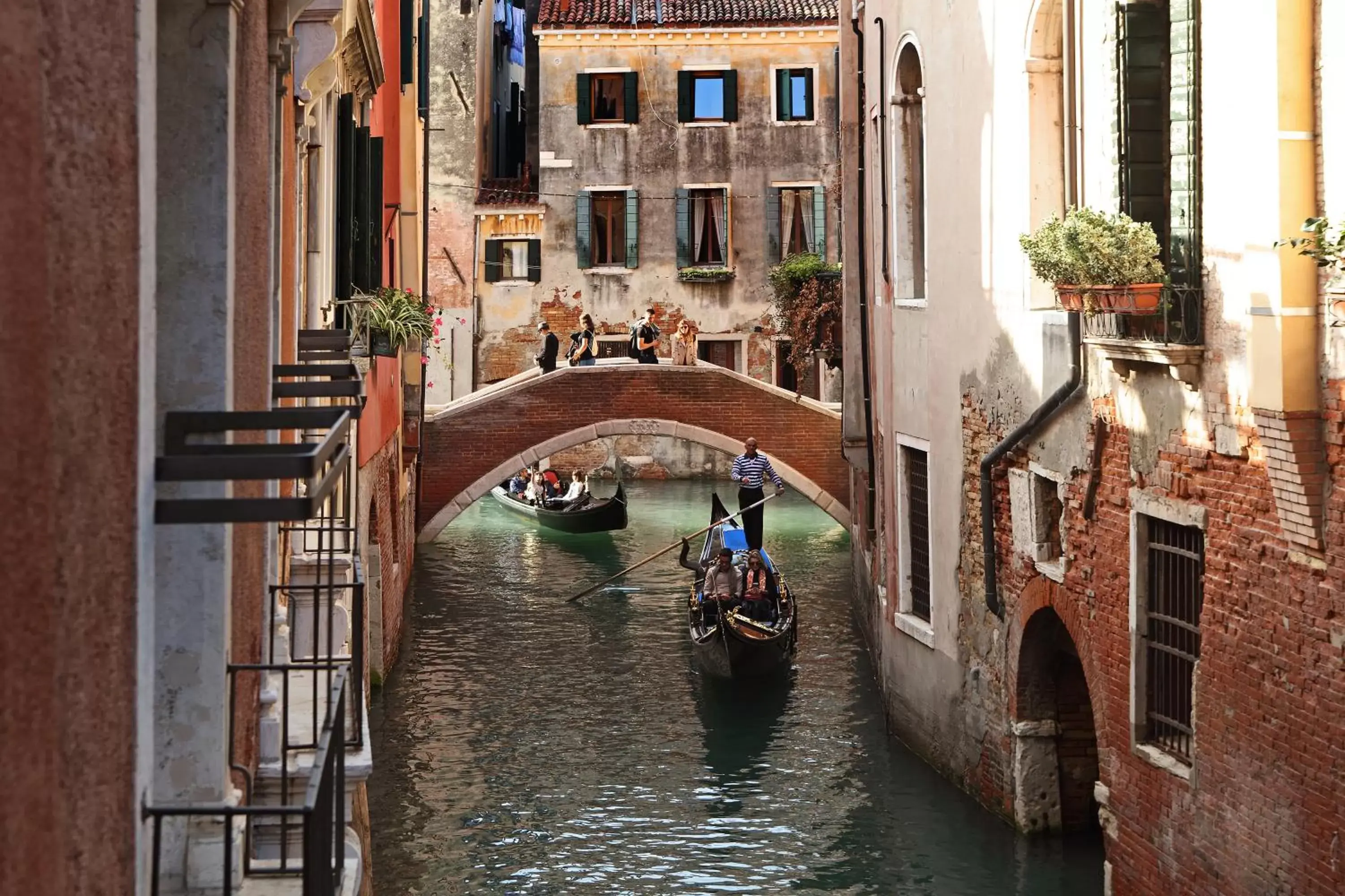 View (from property/room) in Ruzzini Palace Hotel View (from property/room) in Ruzzini Palace Hotel