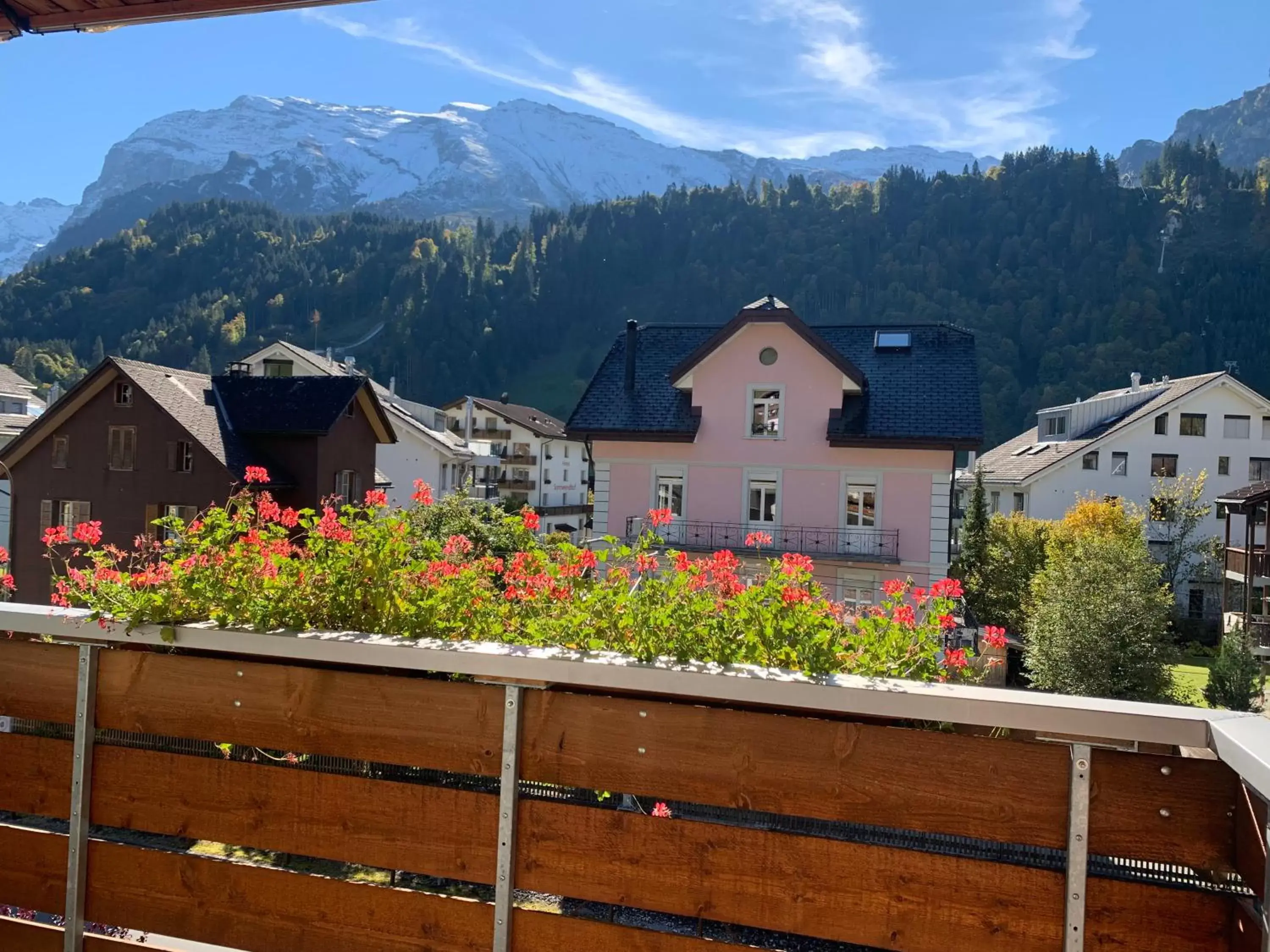 View (from property/room), Mountain View in Hotel Belmont