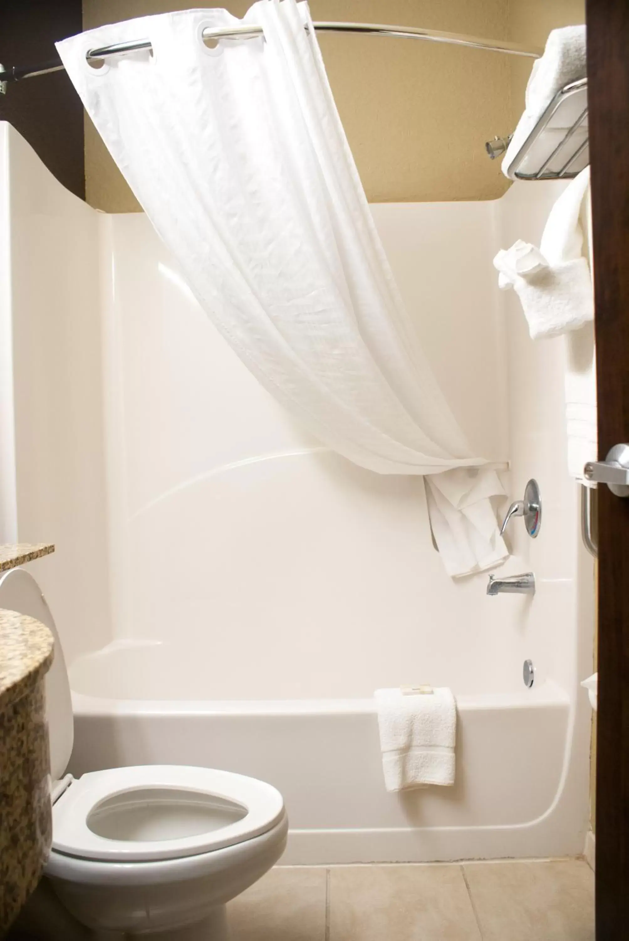 Queen Room with Roll-In Shower - Mobility/Hearing Accessible - Non-Smoking in Microtel Inn & Suites by Wyndham Jacksonville Airport