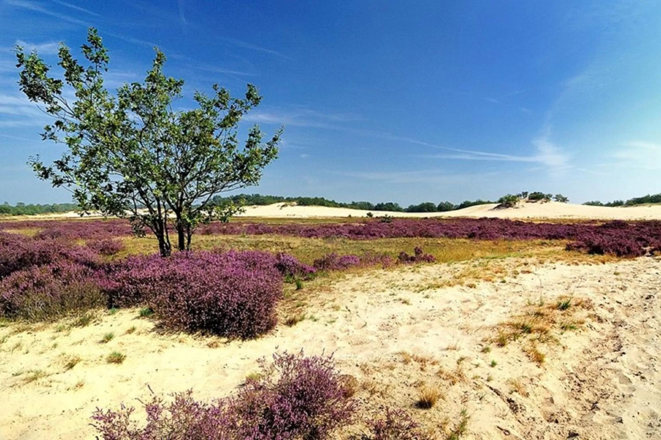 Other in Bed and Breakfast Rammesdoenk