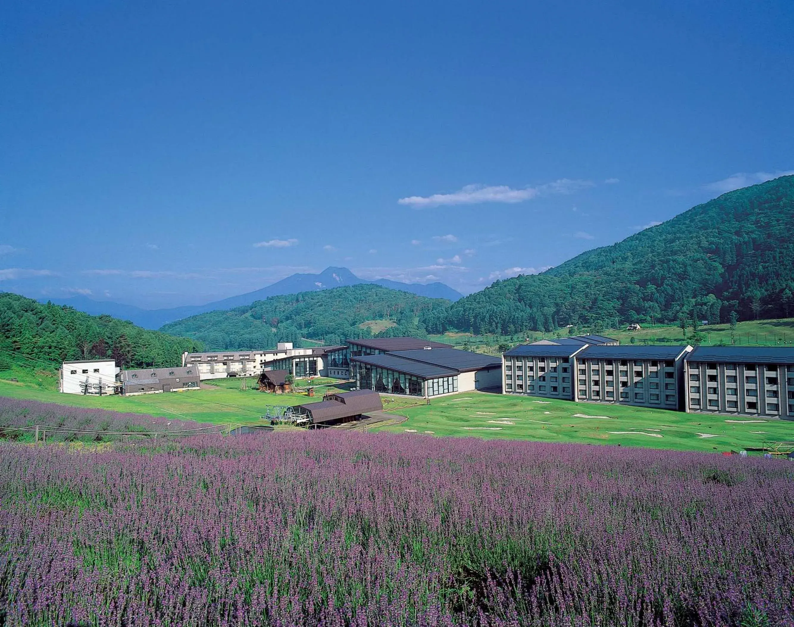 Neighbourhood, Garden in Hotel Tangram