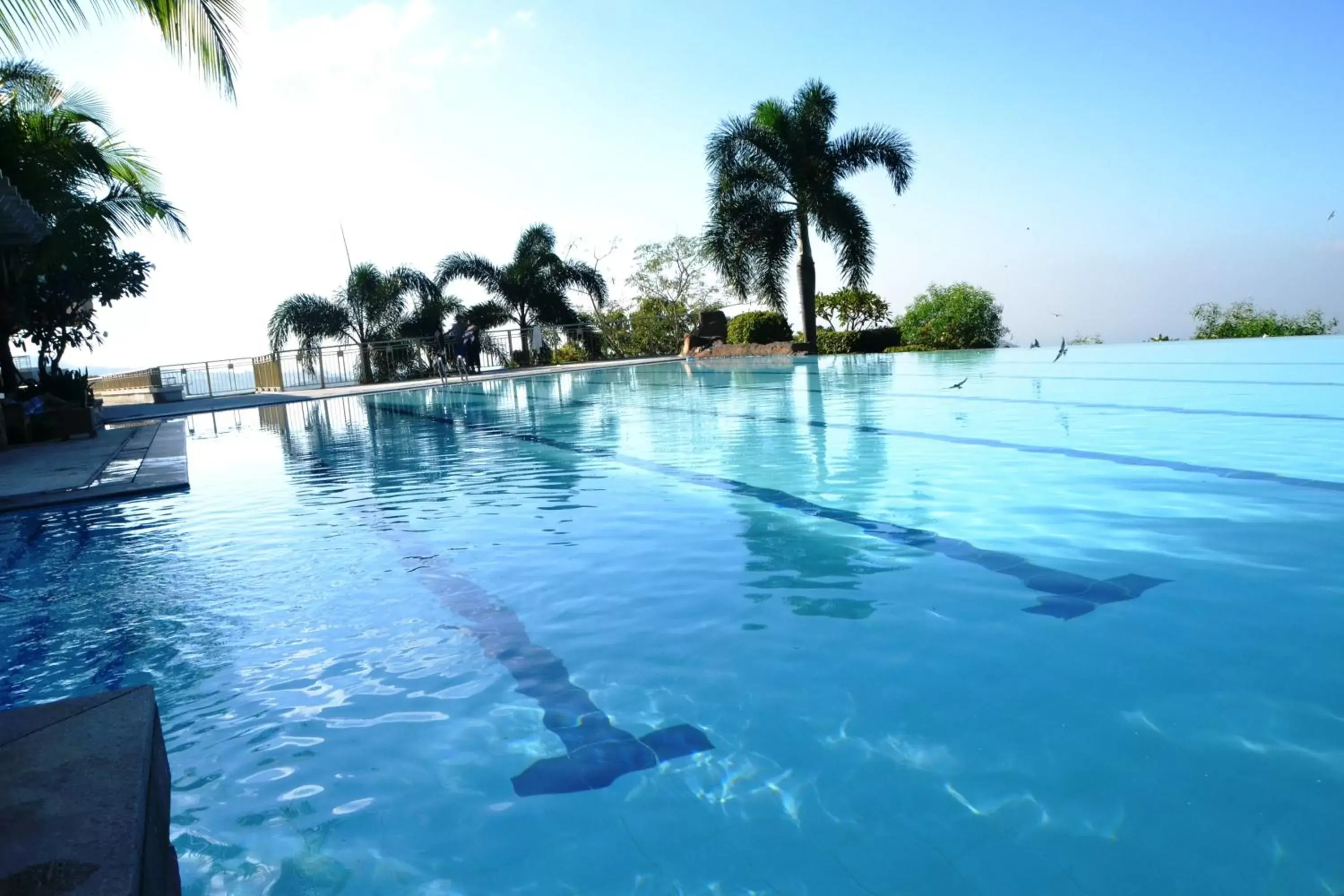 City view, Swimming Pool in Timberland Highlands Resort