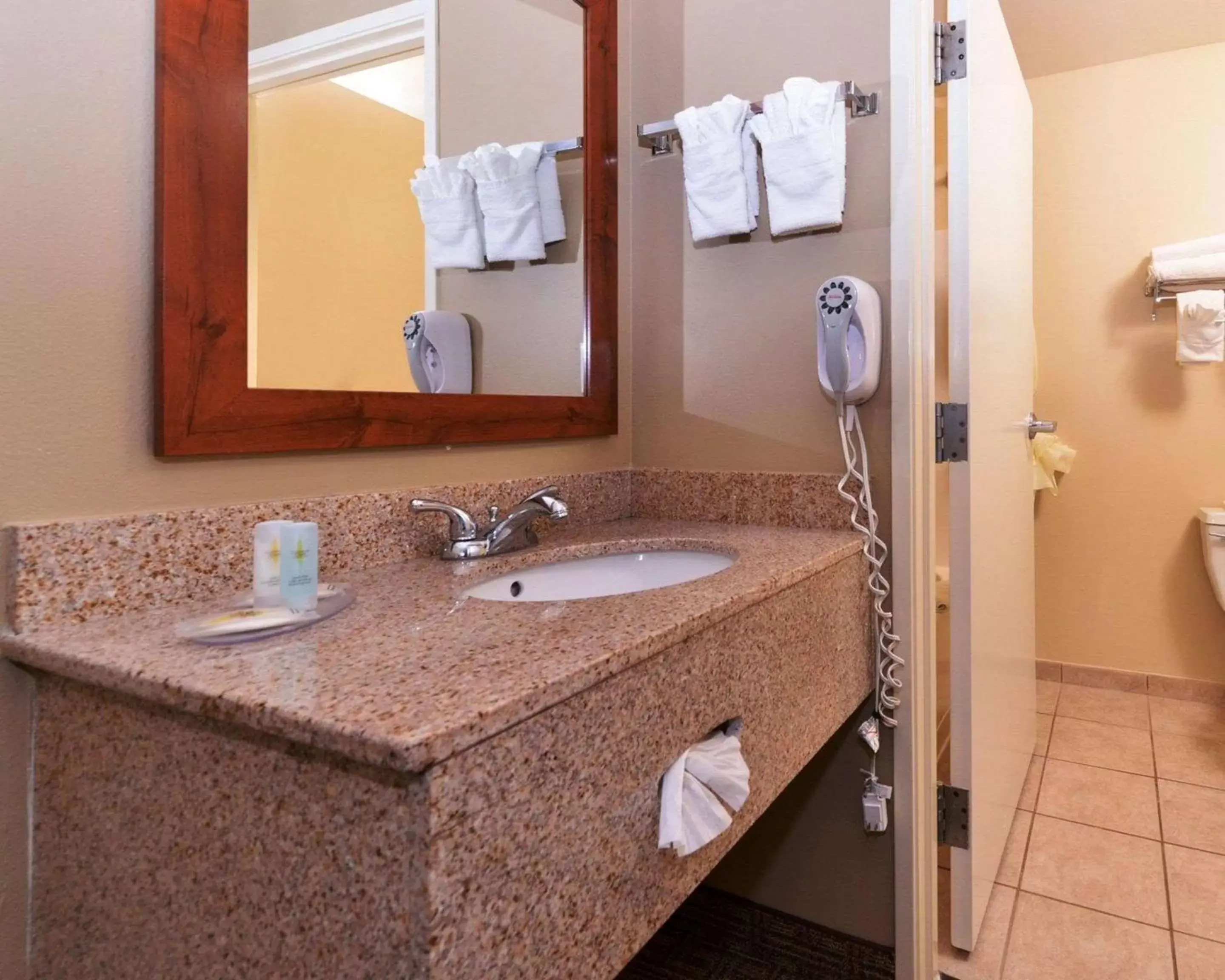 Bathroom in Comfort Inn Fountain Hills - Scottsdale