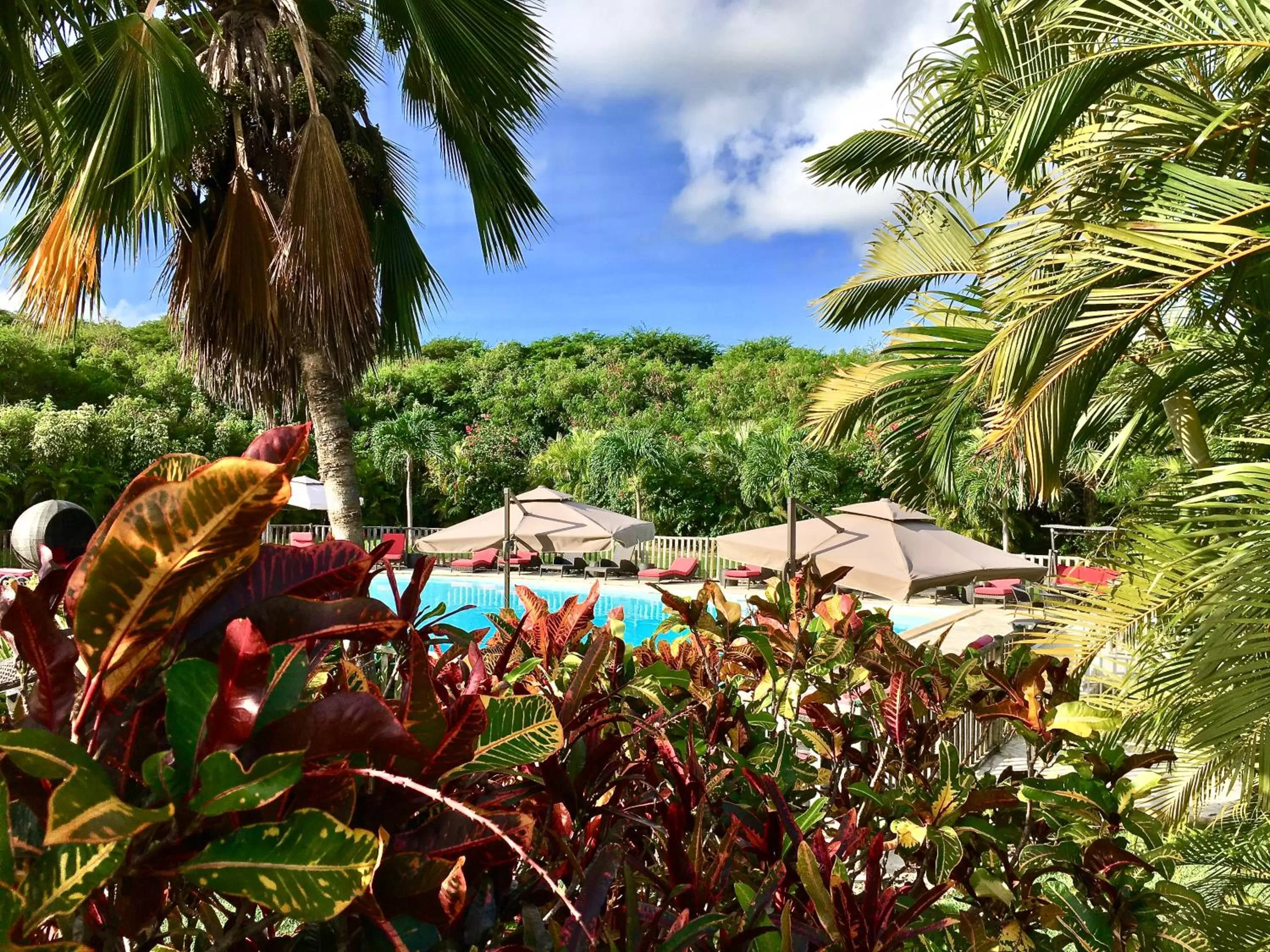 Garden in Résidence Le Vallon Guadeloupe Parc Piscine Appartements & Studios