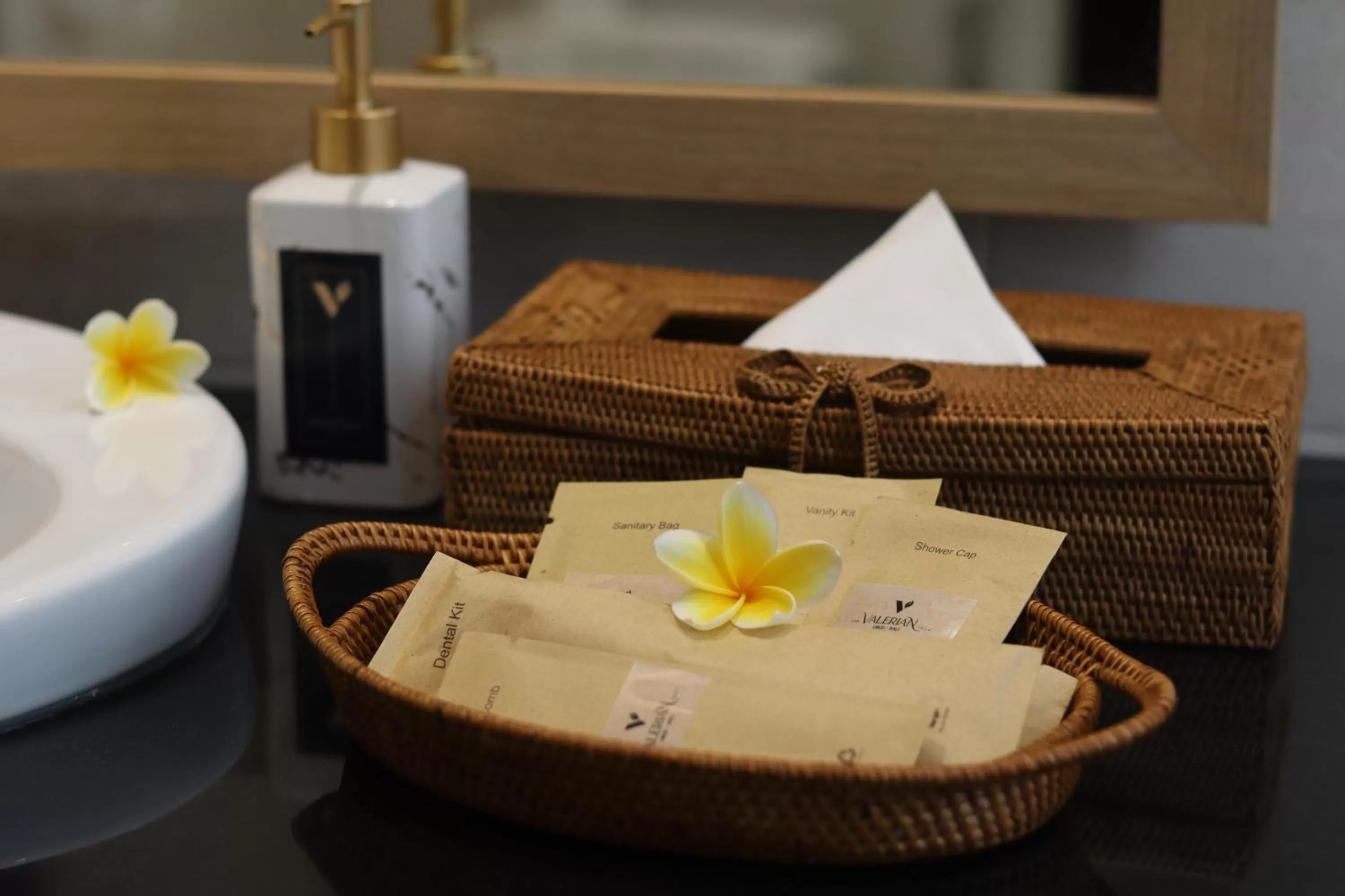 Bathroom in The Valerian Villa Ubud