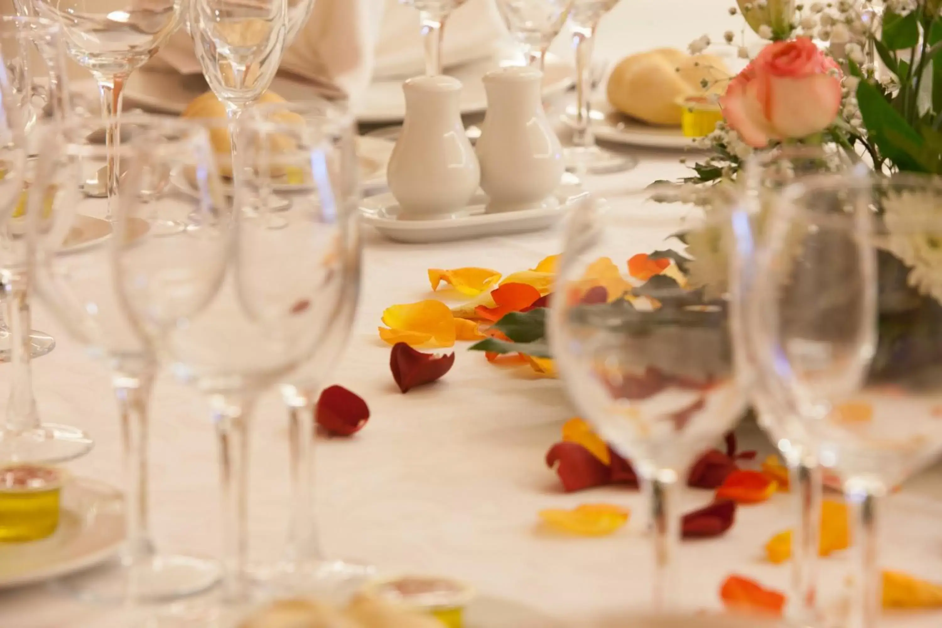 Banquet/Function facilities in Hotel Duque de Najera