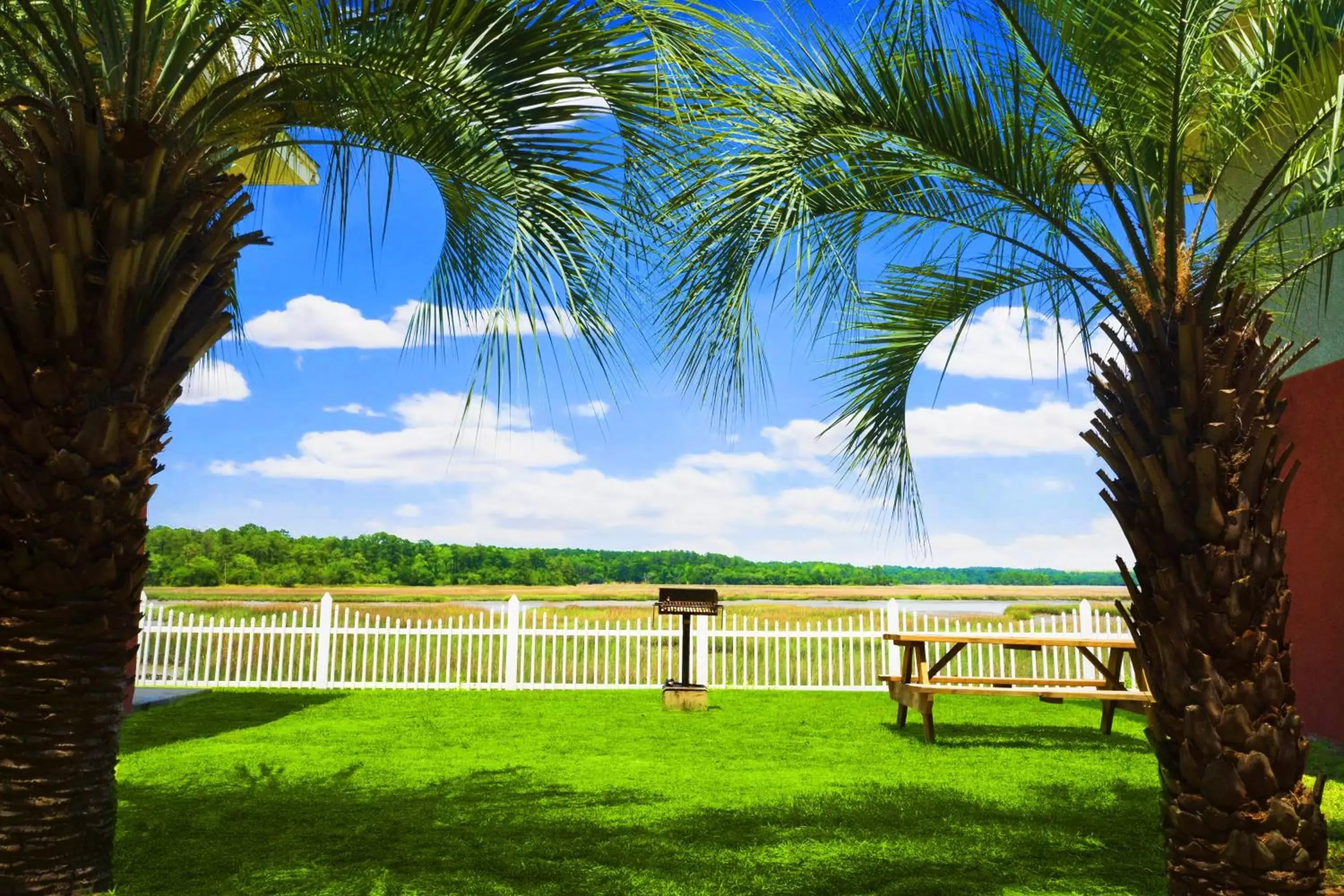 Garden in Howard Johnson by Wyndham Beaufort/Parris Island