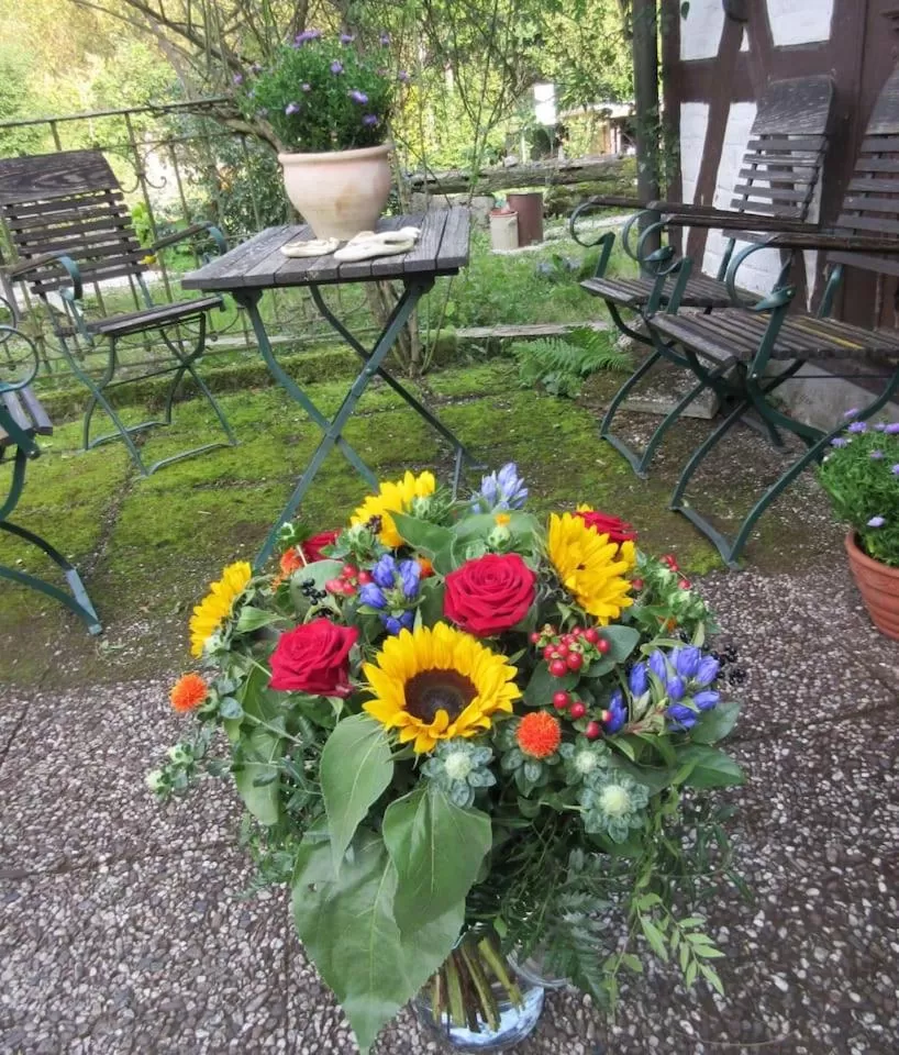 FeWo Landhaus Ederlust HeilungsRäume eV