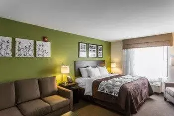 King Suite with Sofa Bed - Non-Smoking in Sleep Inn & Suites Dayton