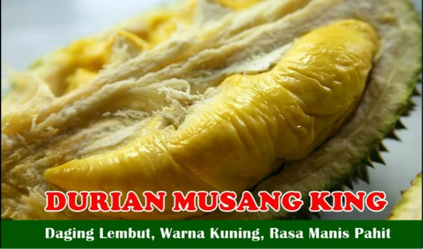 Activities in Hotel Legend Boutique