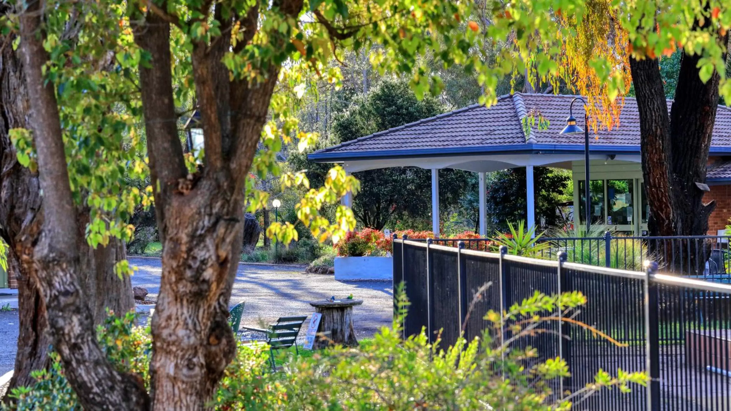 Garden view in Matthew Flinders Motor Inn