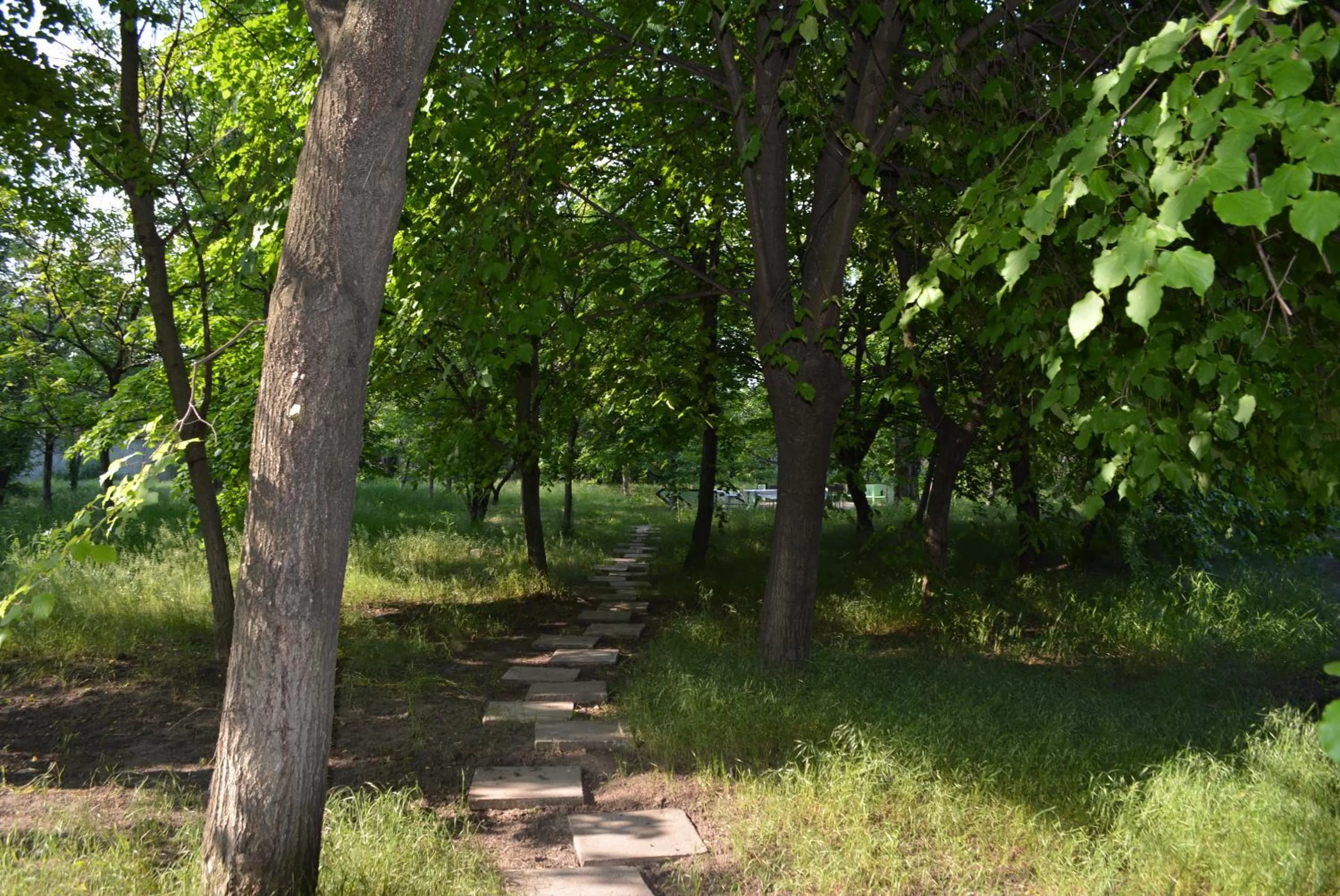 On site in Zelenyi Kampus