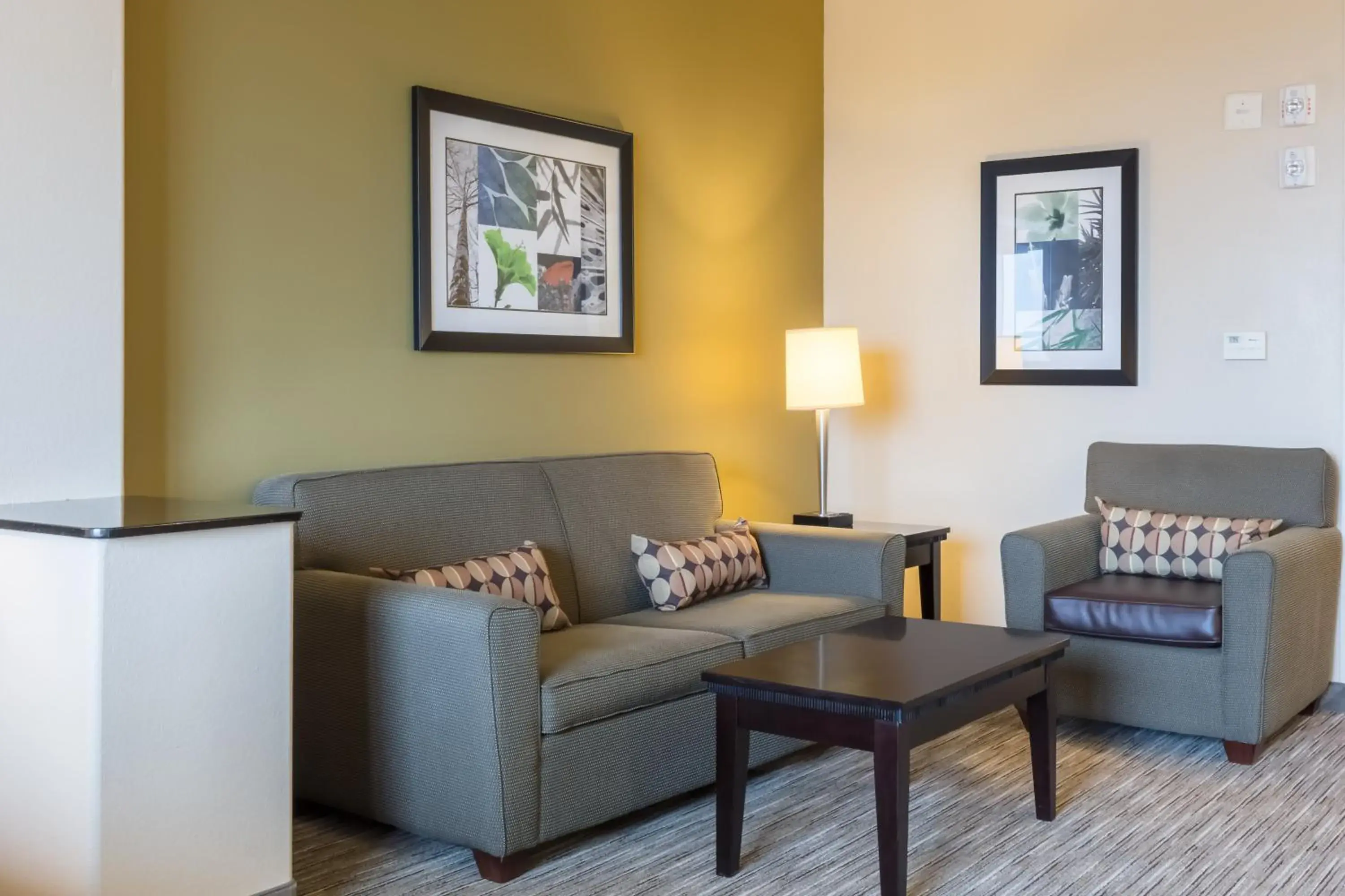 Photo of the whole room, Seating Area in Holiday Inn Express Hotel & Suites Dallas West