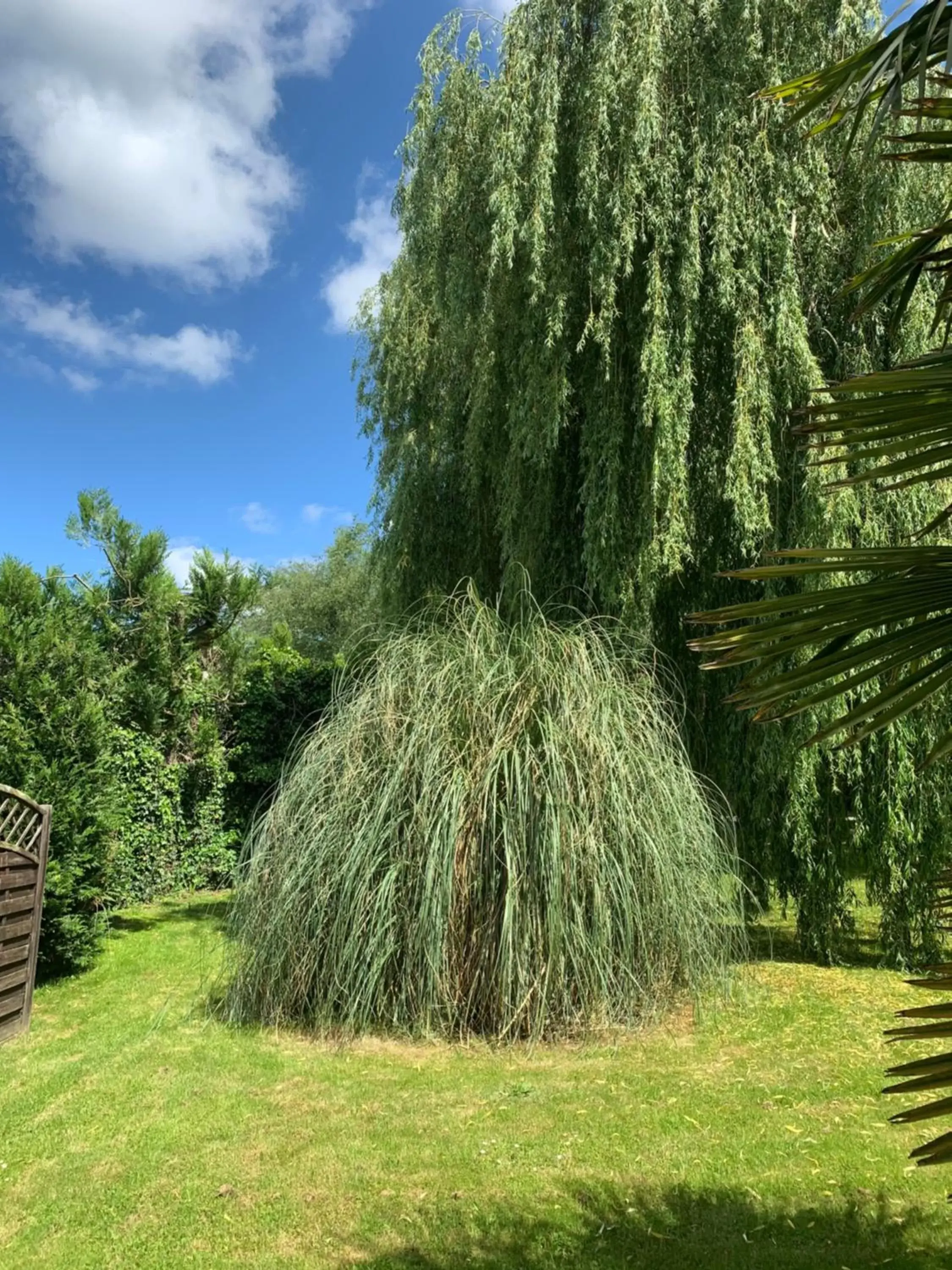 Garden in Ker-Loën