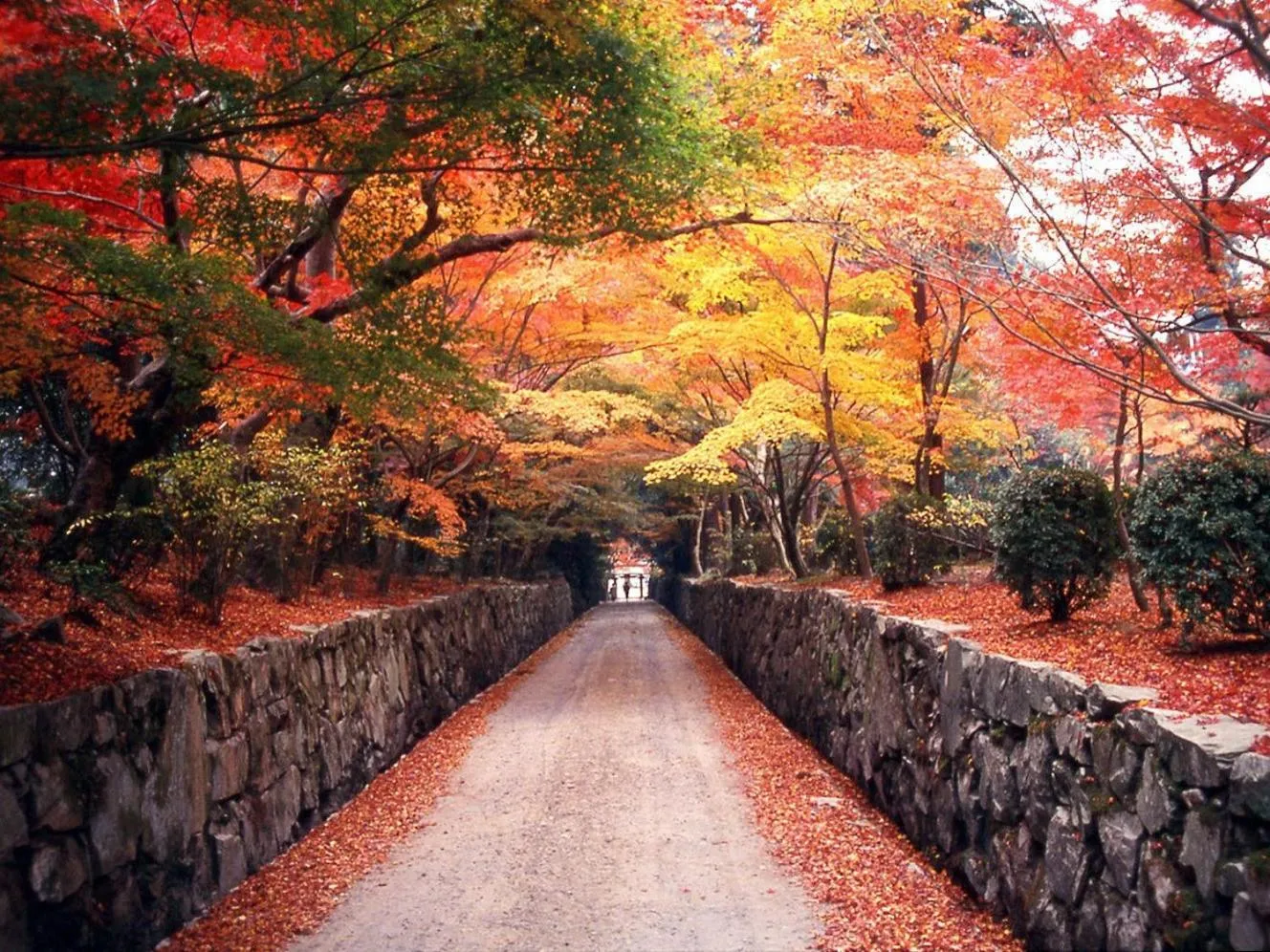 Off site in Hanayashiki Ukifune-en