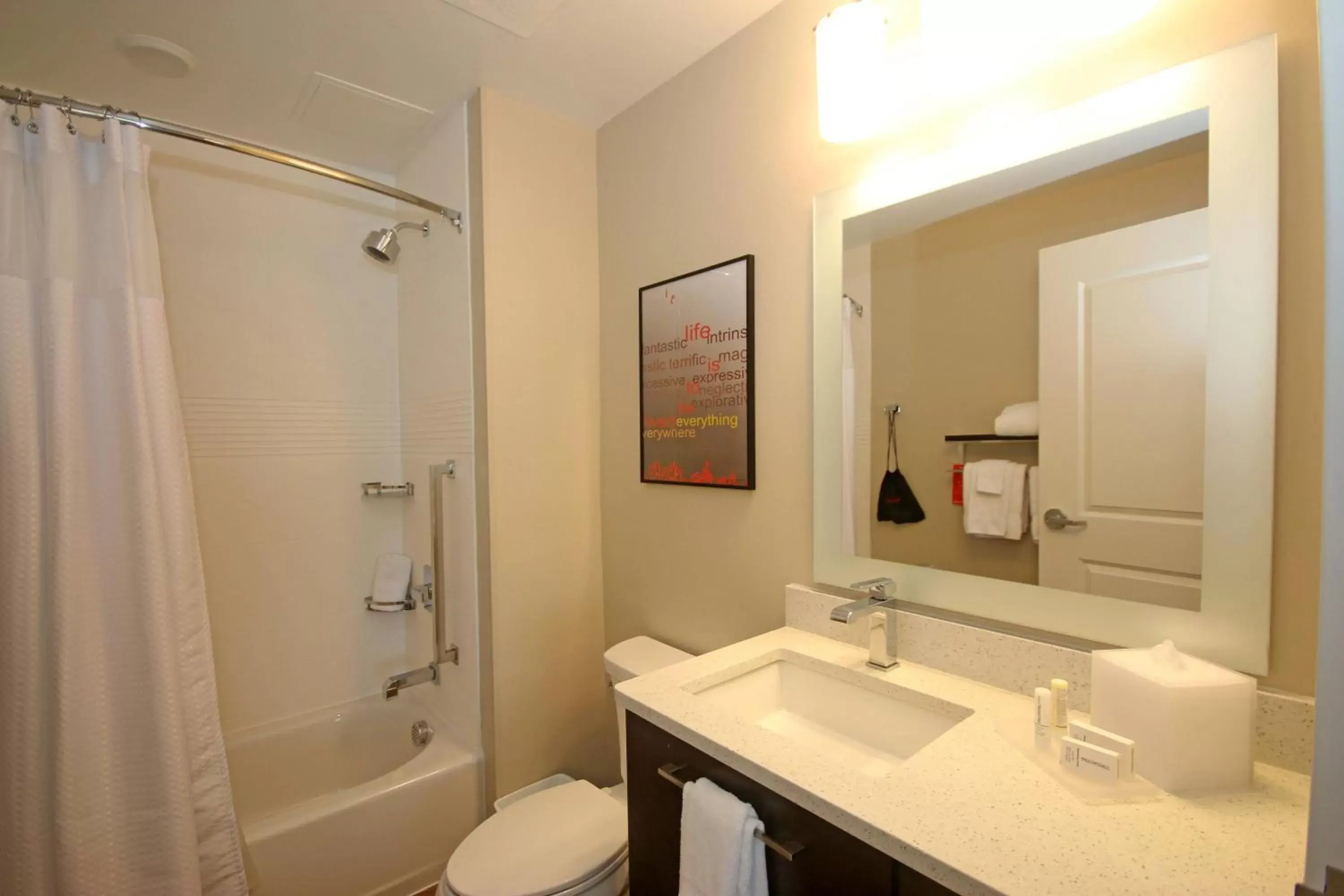 Bathroom in TownePlace Suites by Marriott Charleston-North Charleston