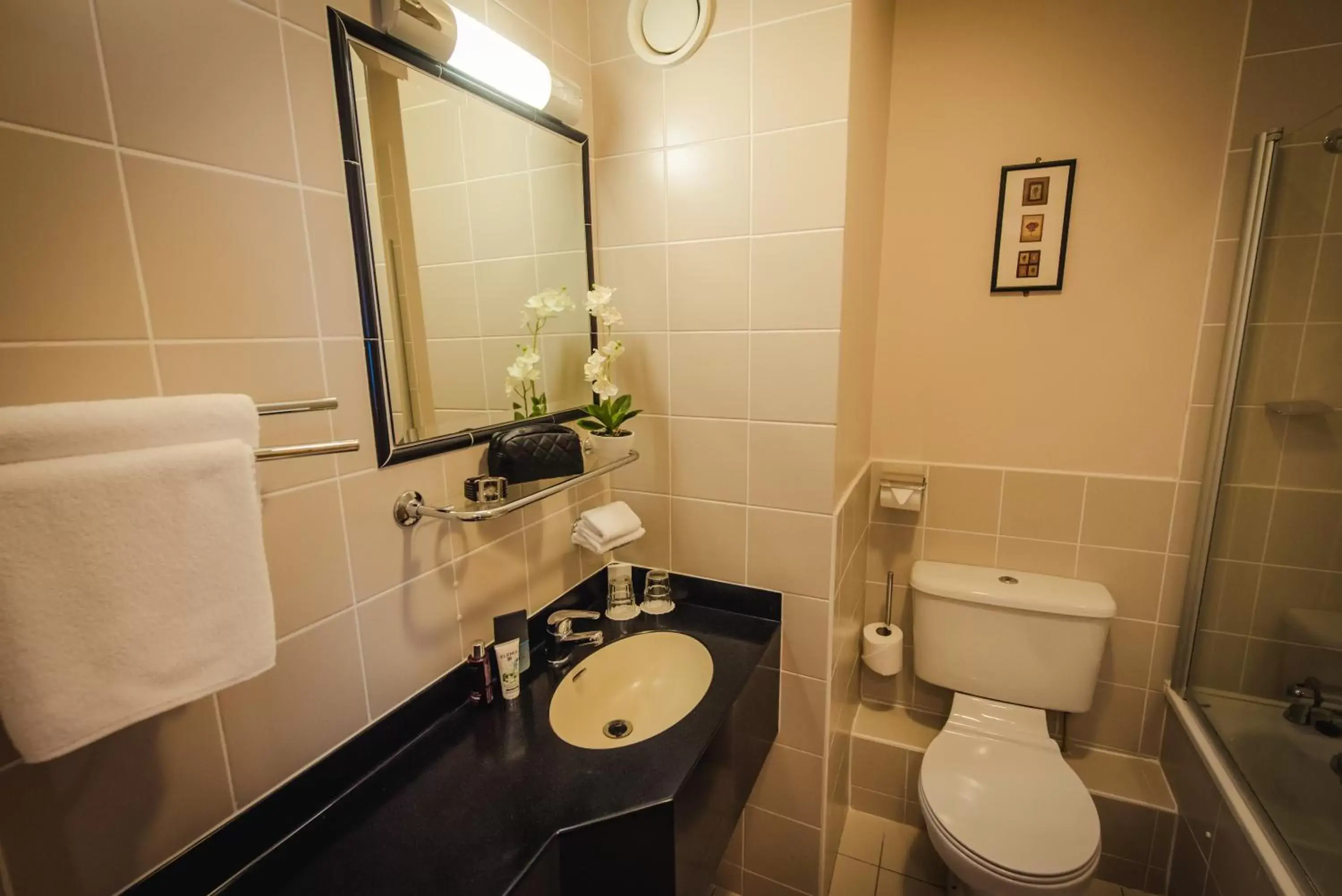 Bathroom in Waterford Viking Hotel