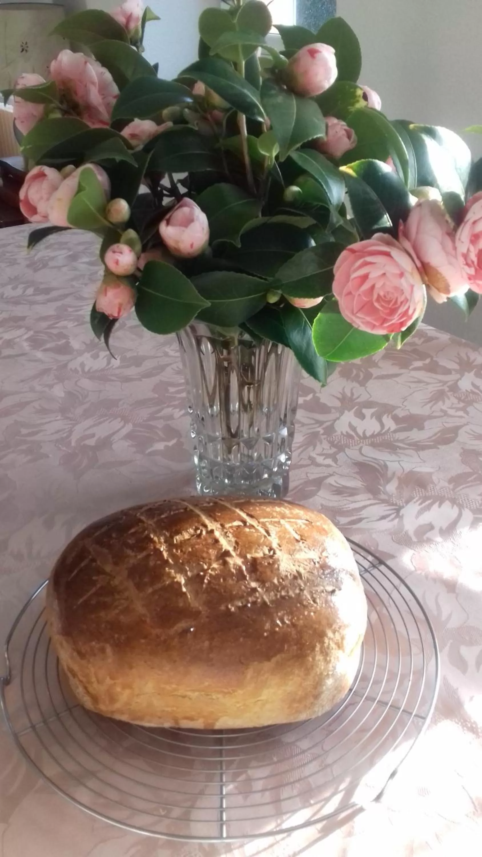 Restaurant/places to eat, Food in LES DEUX RIVIERES - Chambres & Table d'Hôtes -