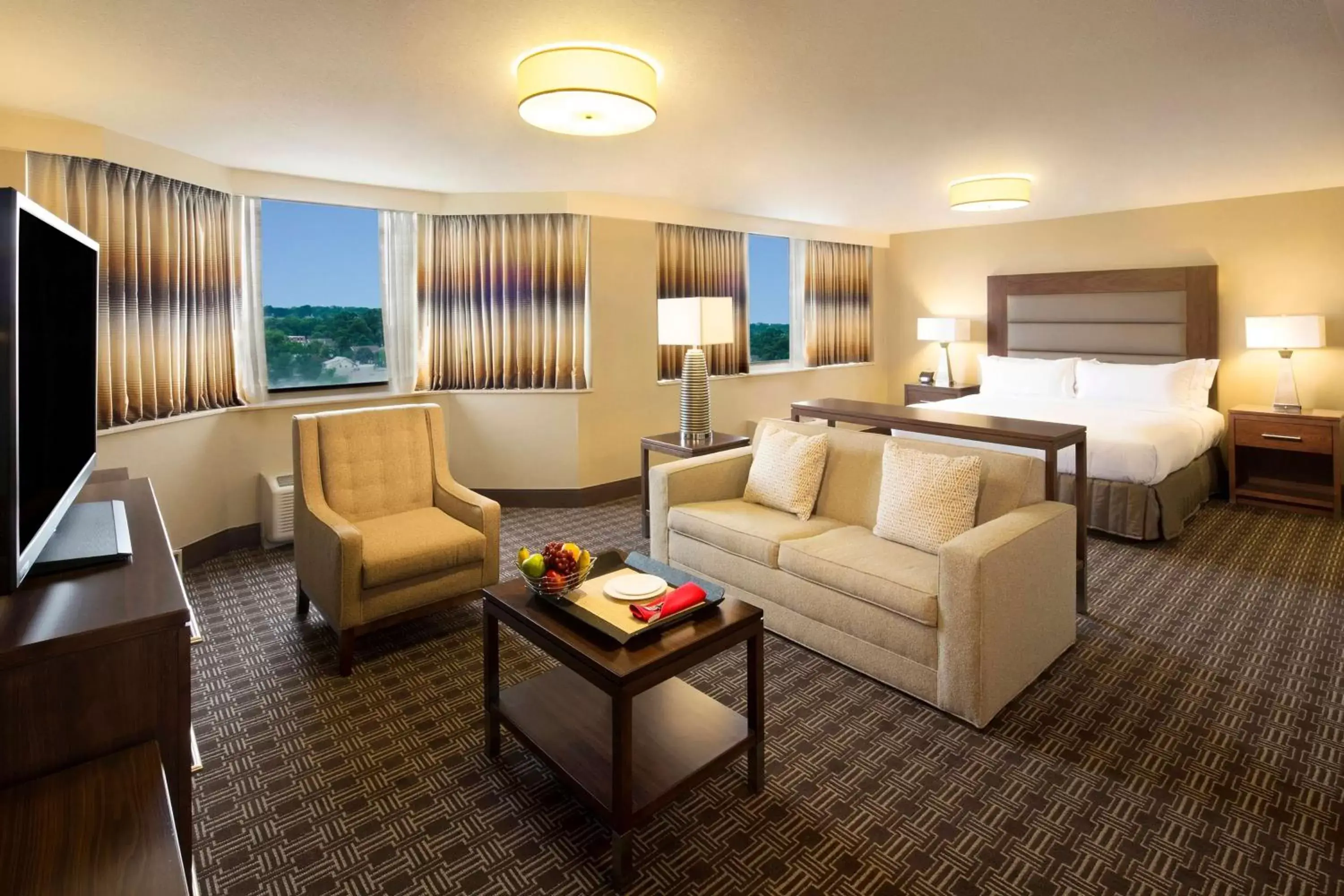 Bedroom, Seating Area in Hilton Arlington National Landing