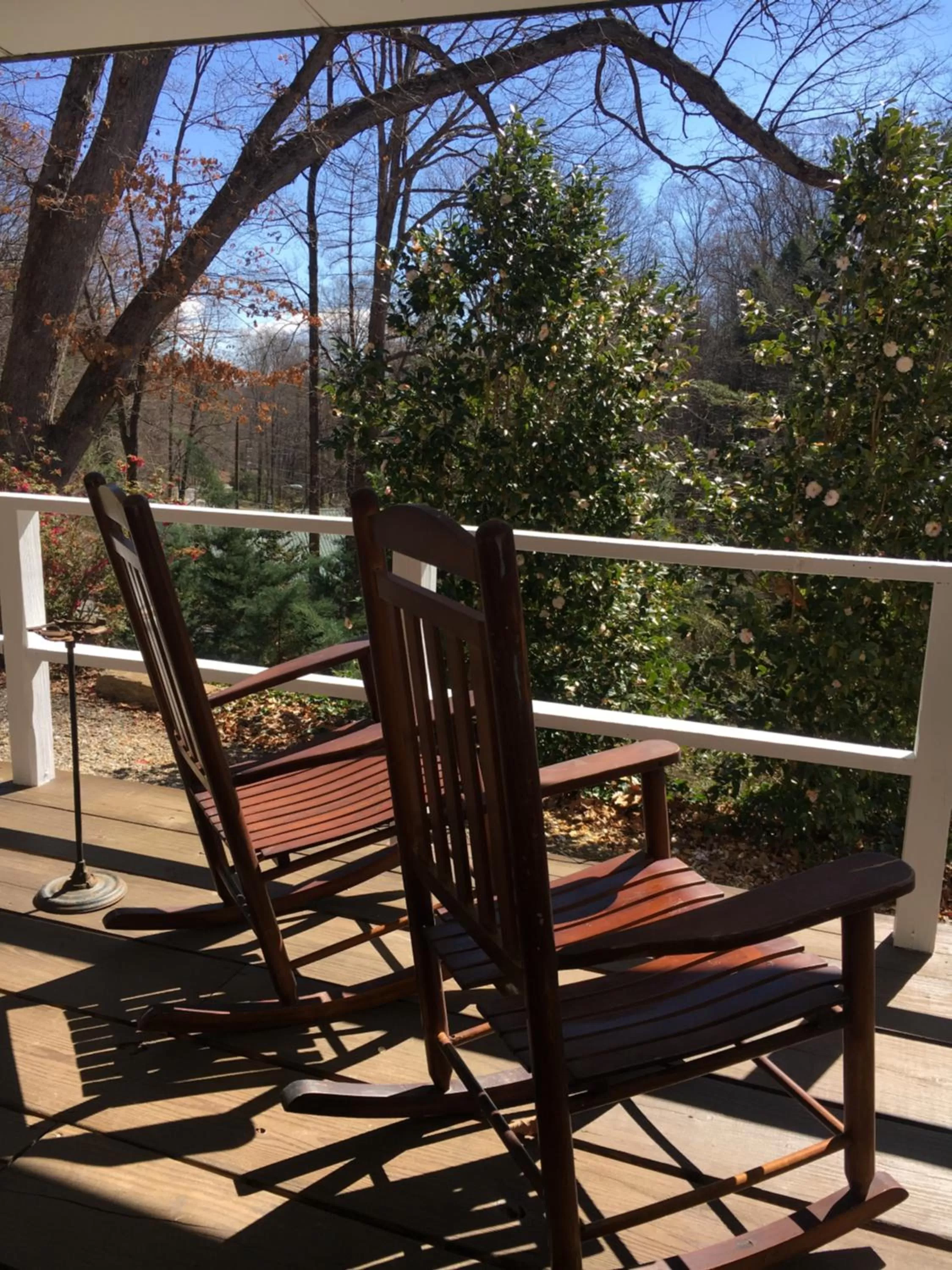 Communal lounge/ TV room in Grafton Lodge