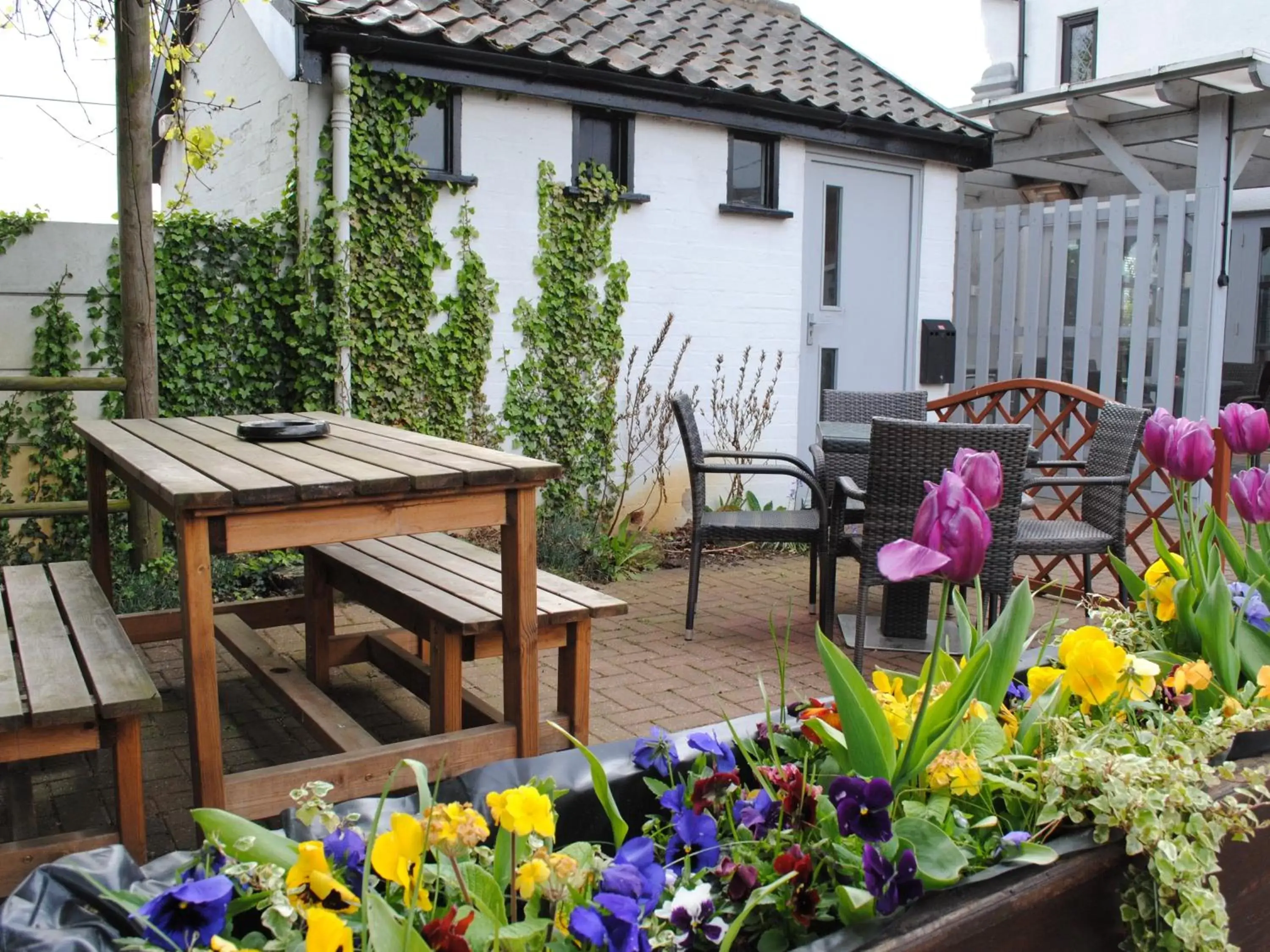 Property building in Marsham Arms Inn