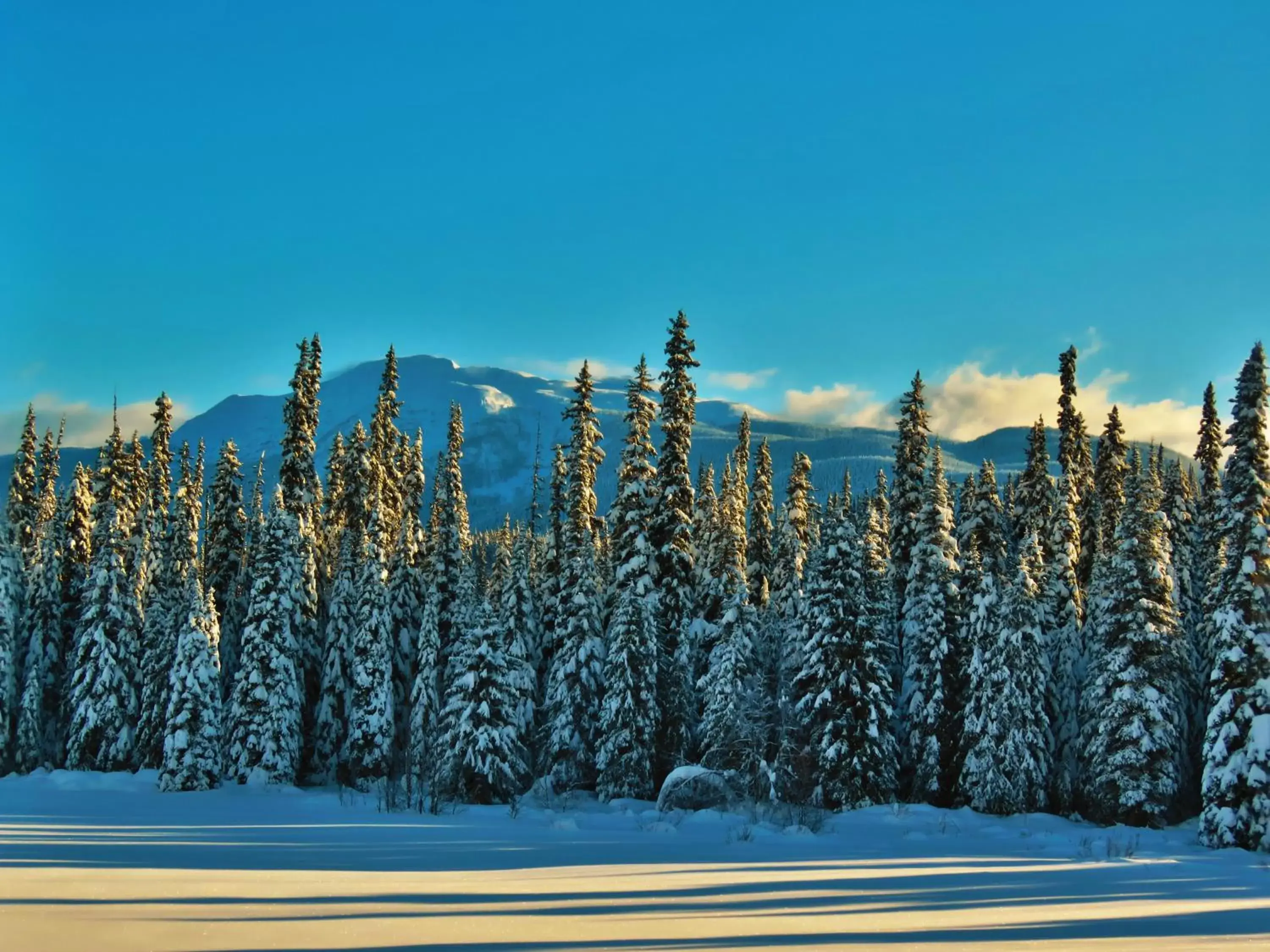 Mountain view, Winter in Rocky Ridge Resort-BC