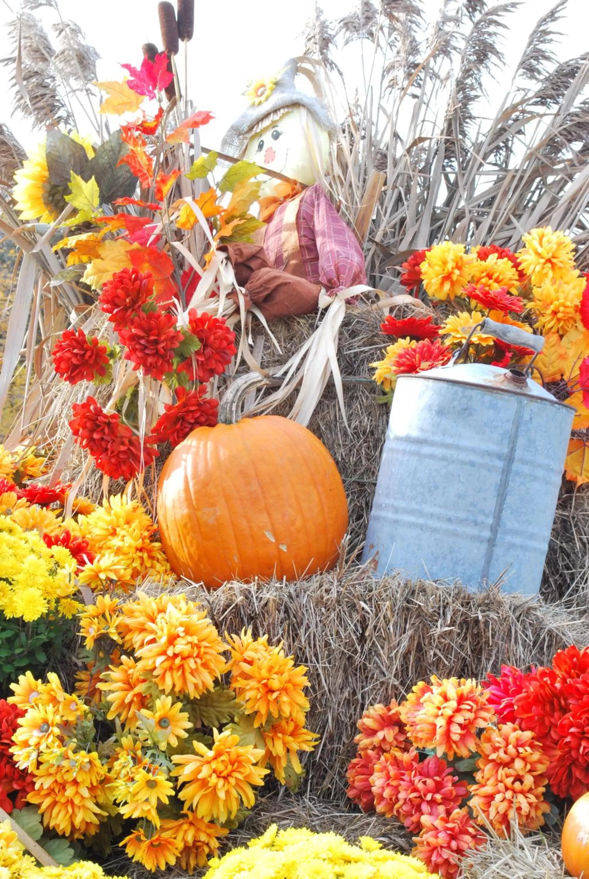 Area and facilities in Greenbrier Inn Killington