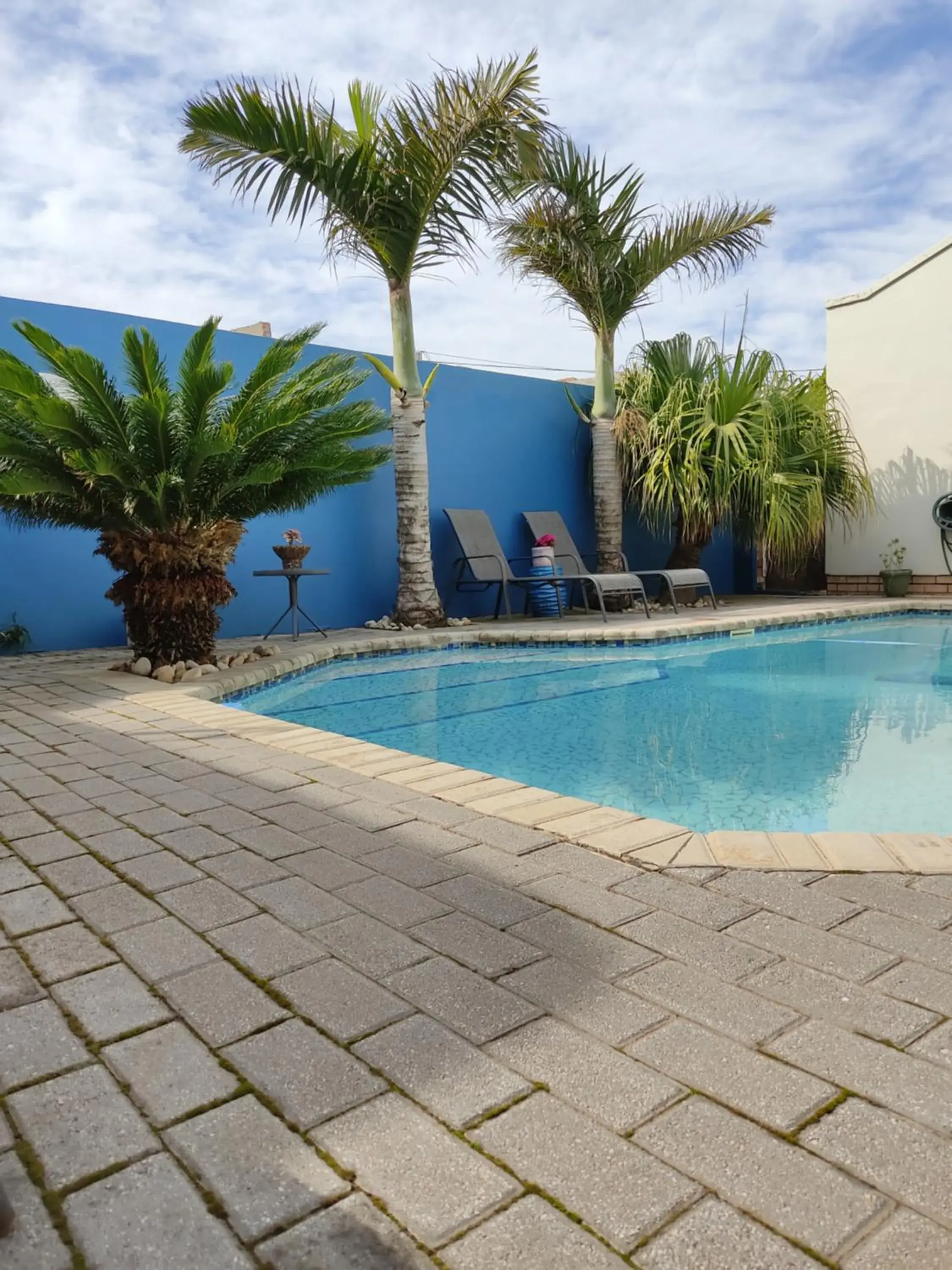 Swimming Pool in Palm Beach Guesthouse