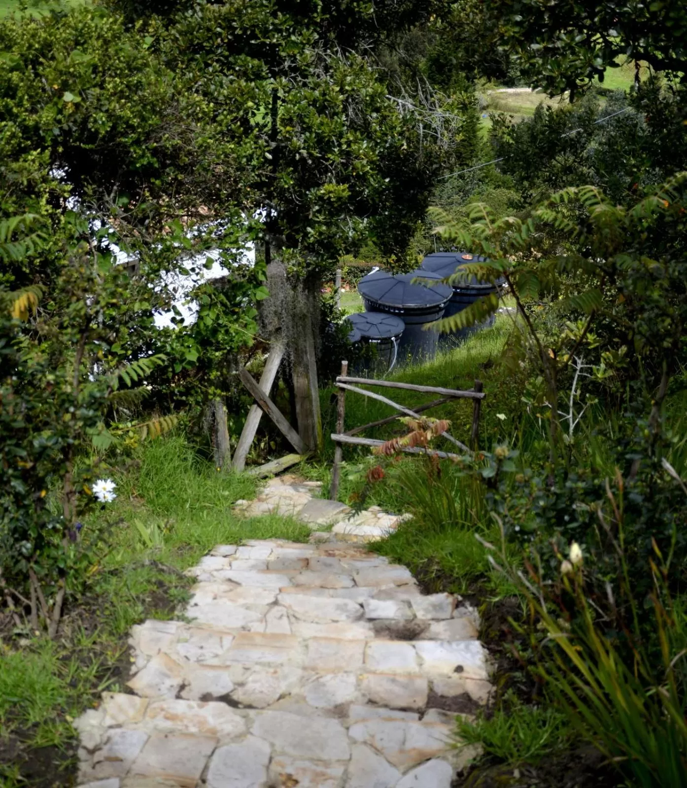 Garden in El Pedregal Sopó