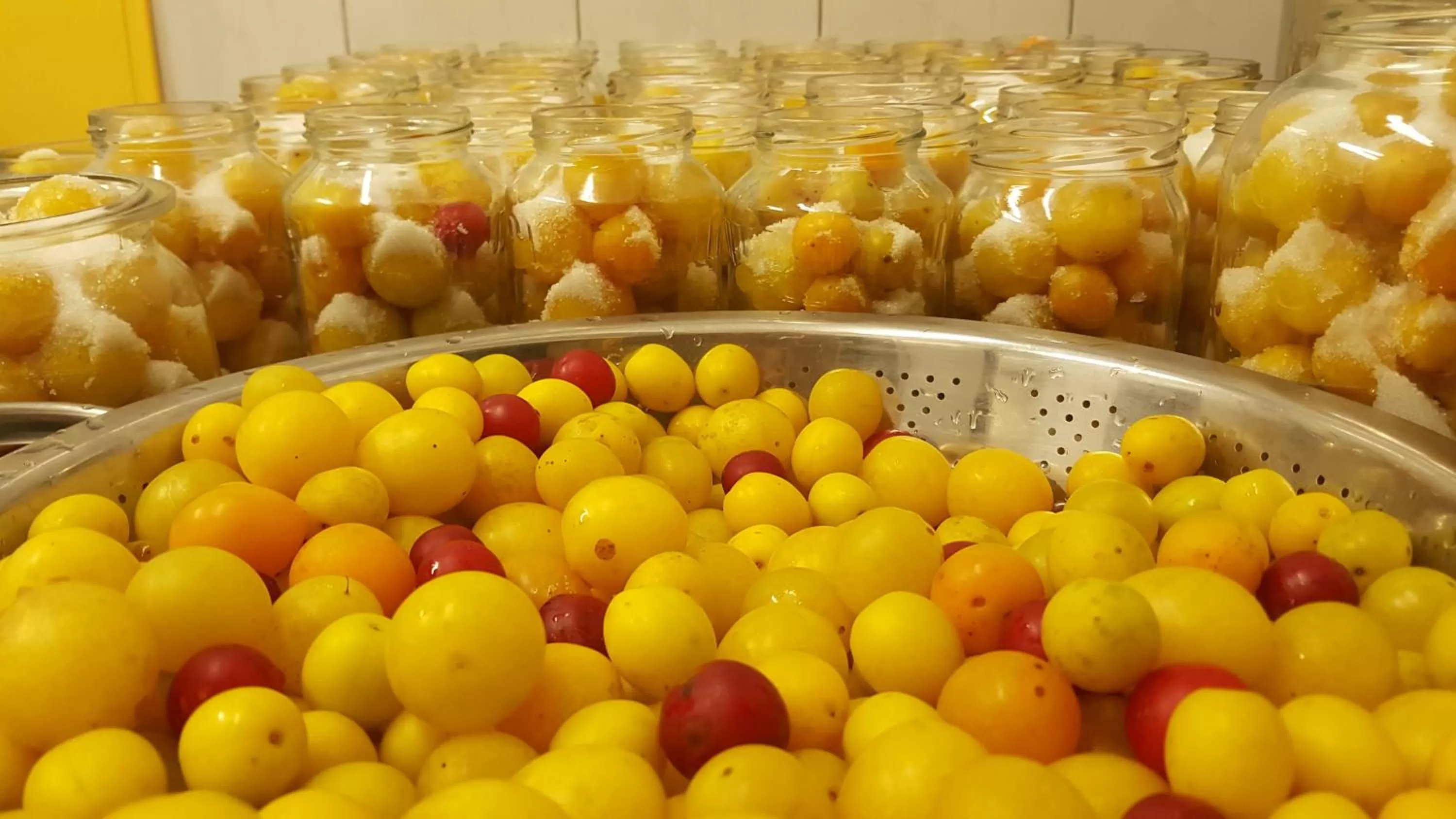 Restaurant/places to eat in Rezydencja 5 Dębów