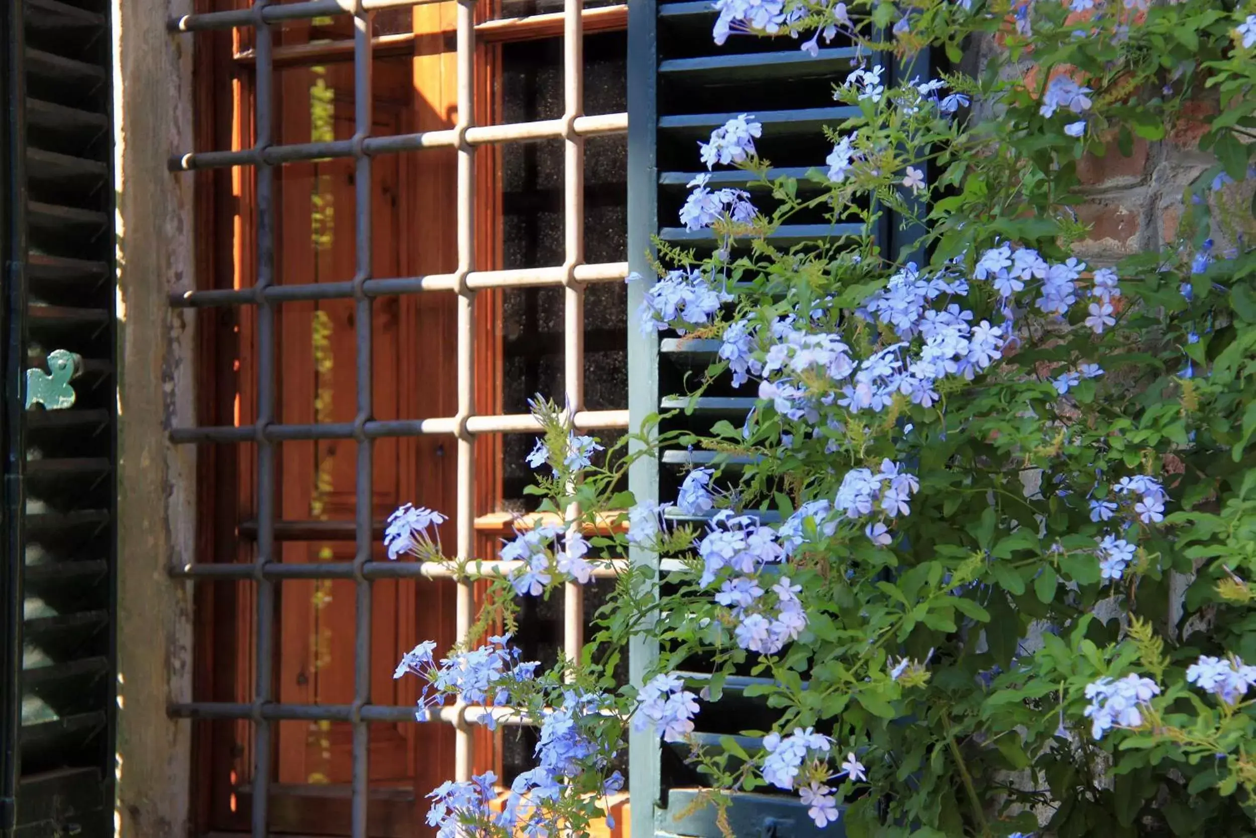 Facade/entrance in antica casa "le rondini"