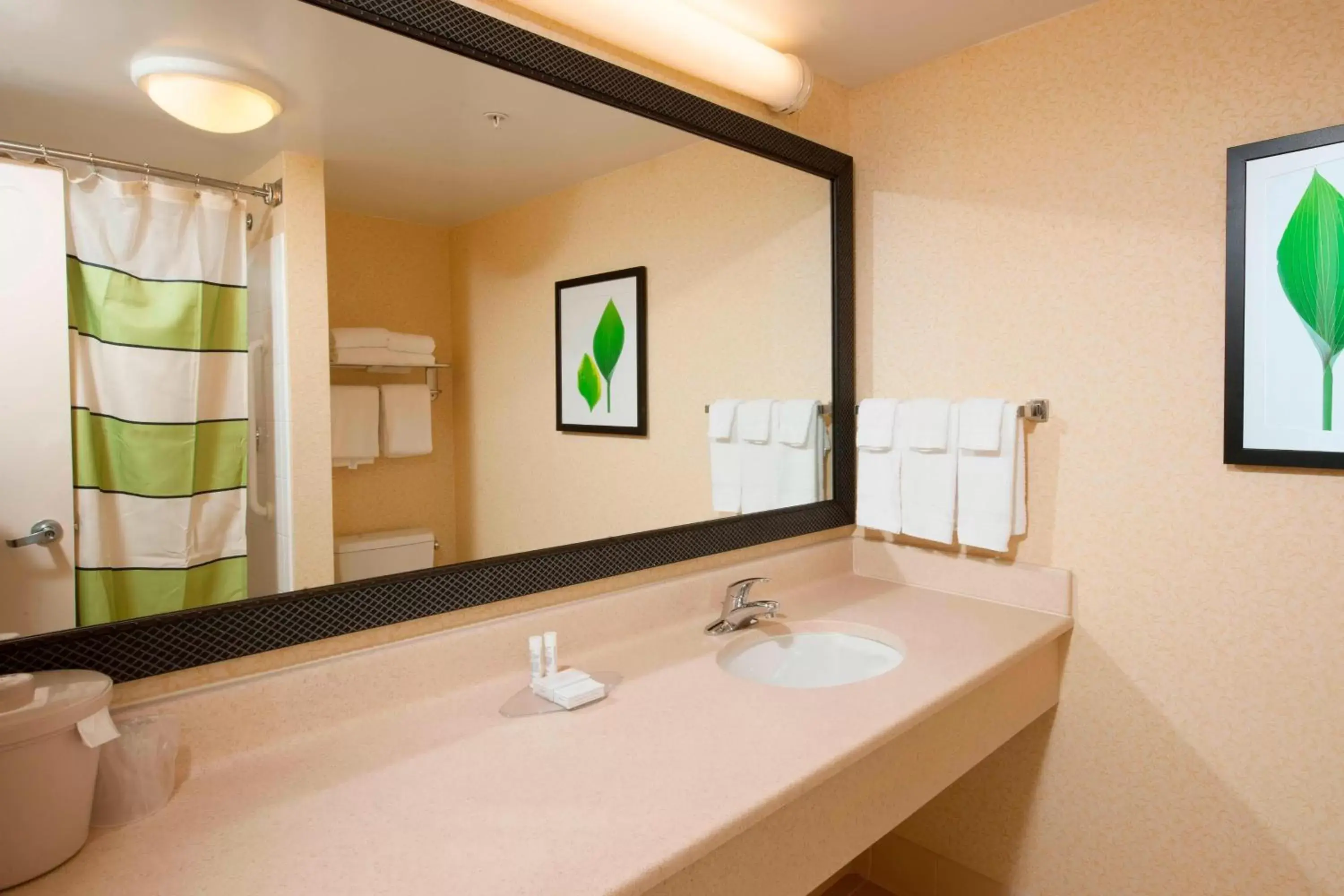 Bedroom, Bathroom in Fairfield Inn & Suites by Marriott Brunswick Freeport
