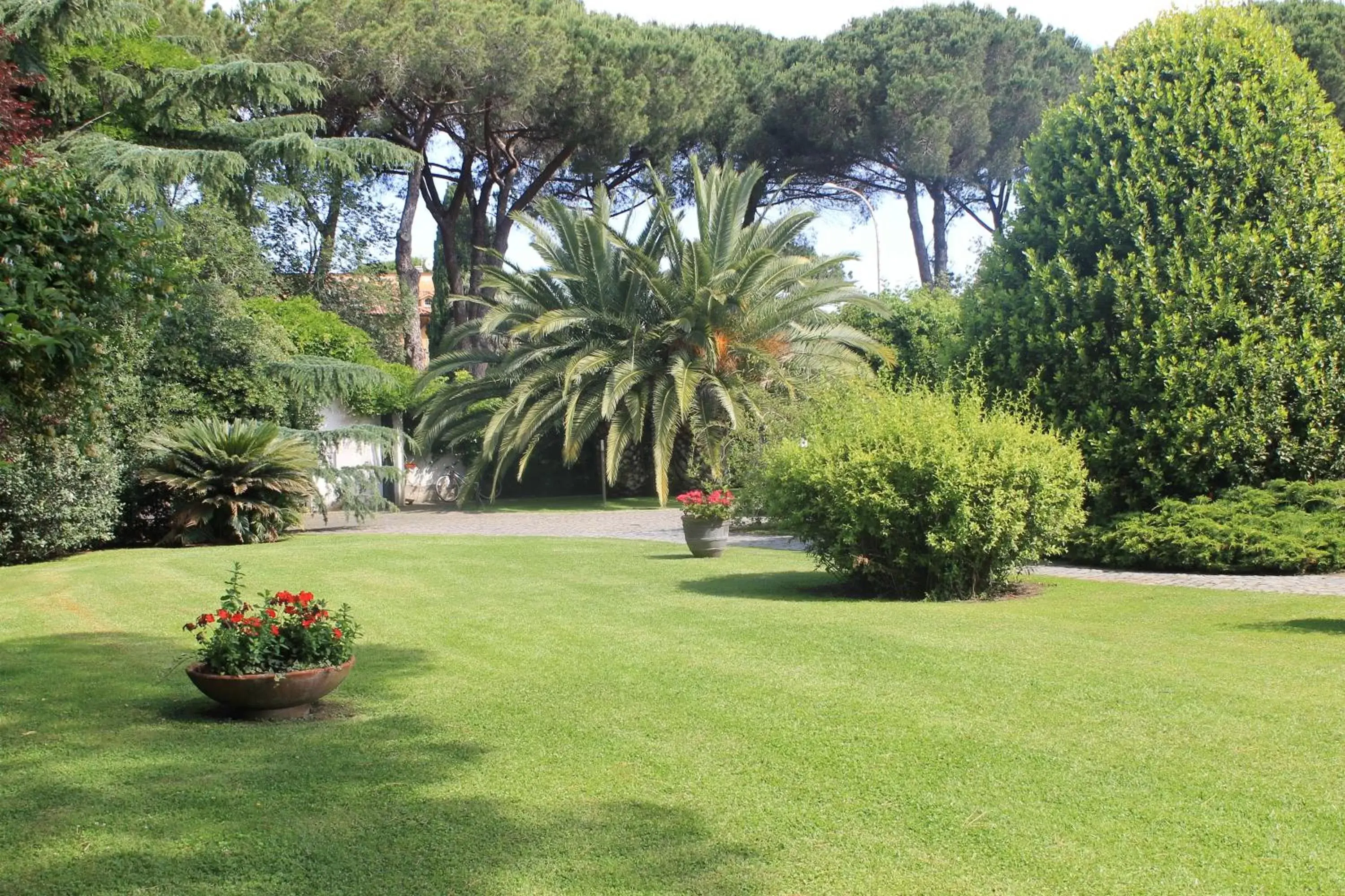 Garden in La Gaura Guest House