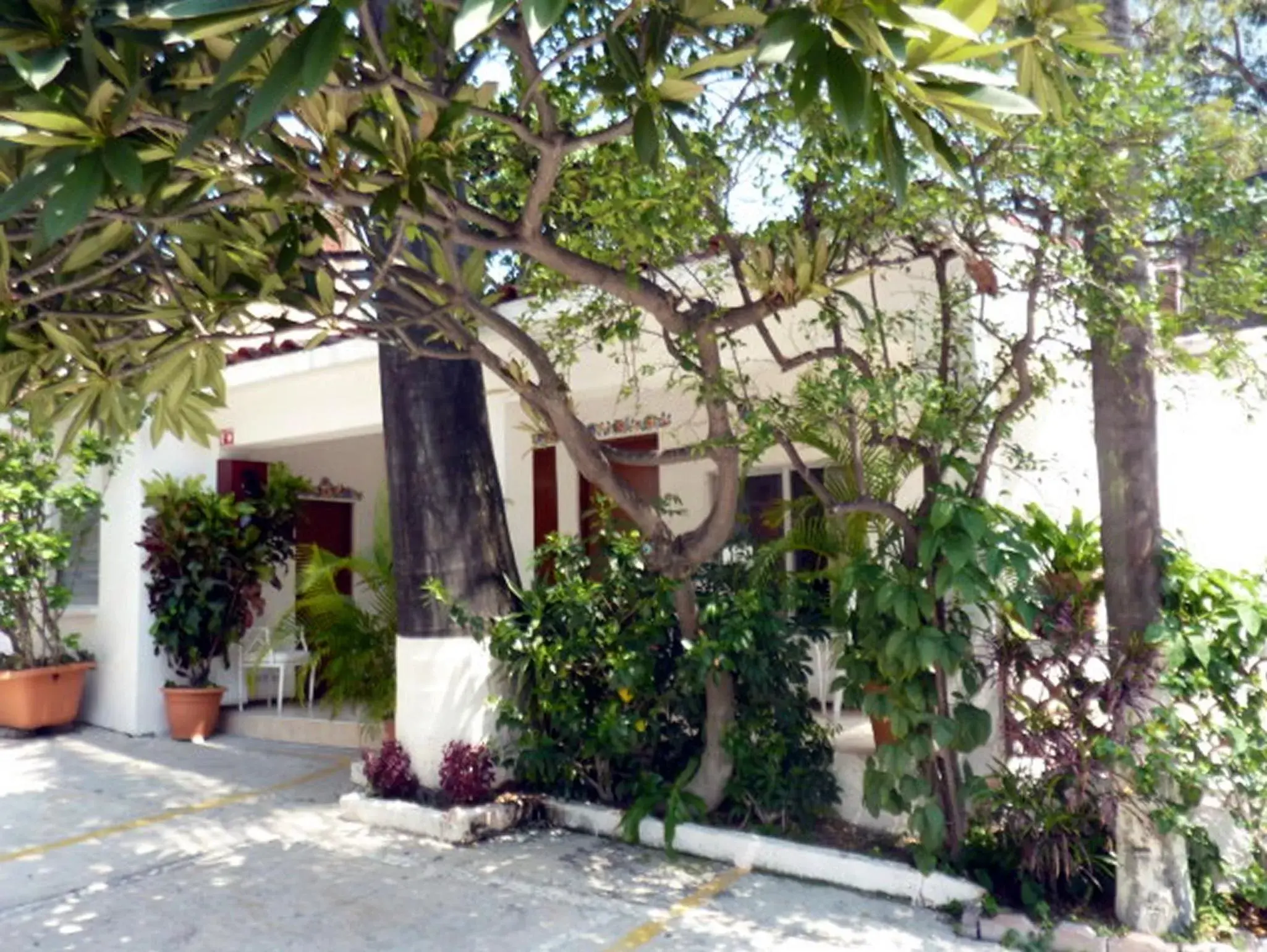 Facade/entrance, Property Building in Hotel Bajo el Volcan