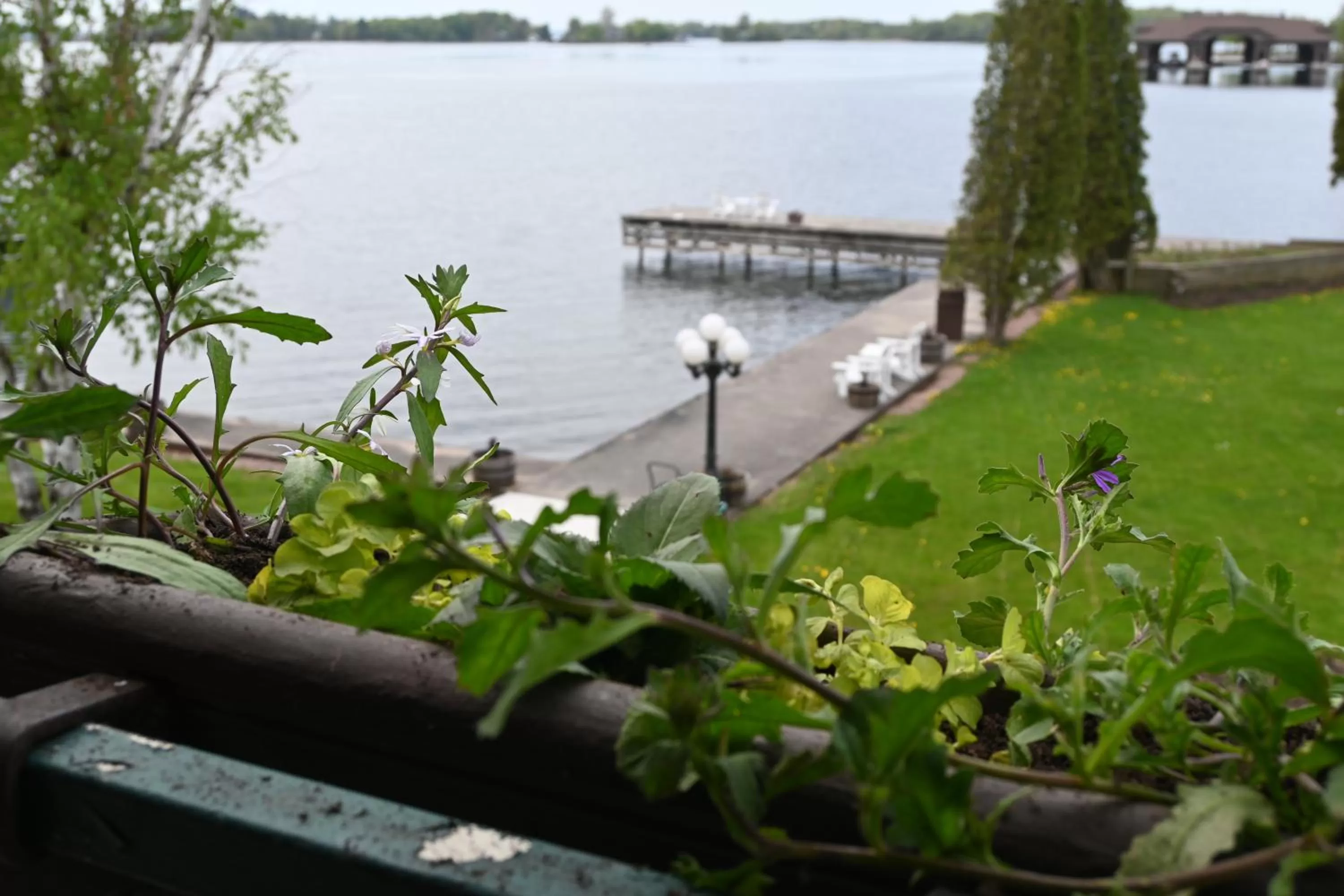 Balcony/Terrace in The Gananoque Inn