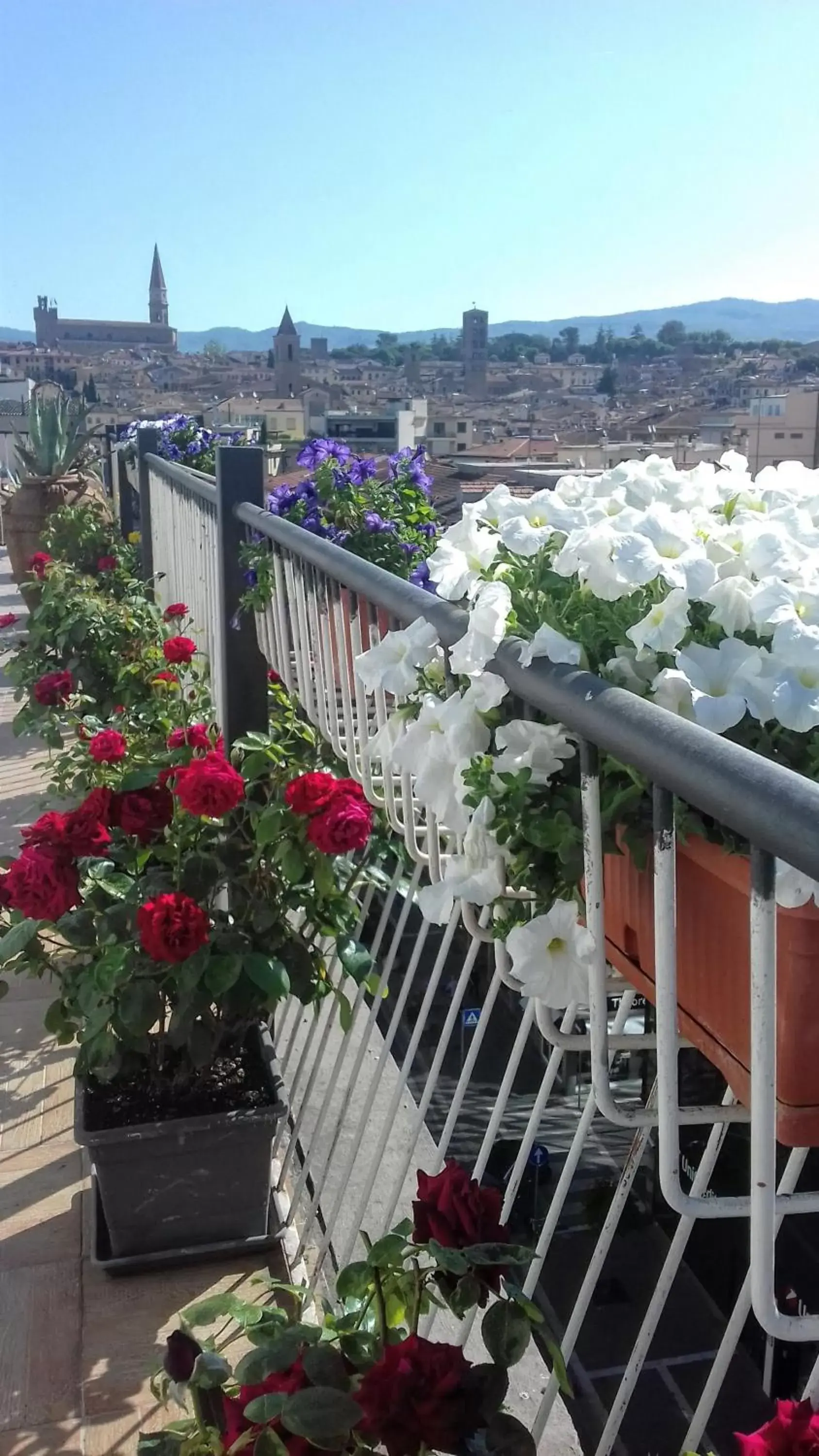 Balcony/Terrace in B&B Cameracaffè Centro