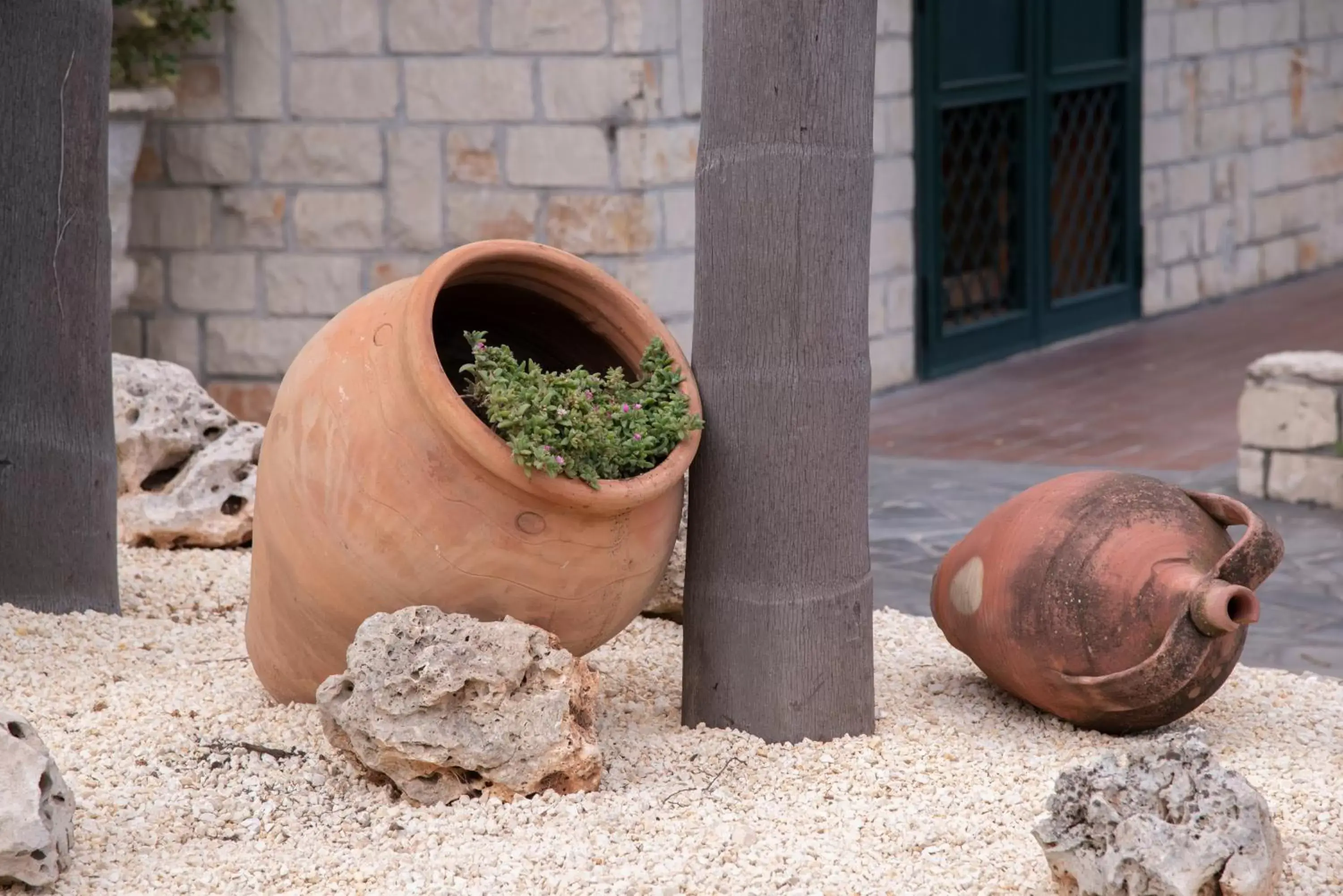 Garden in Boutique Villa Etna d'A'mare