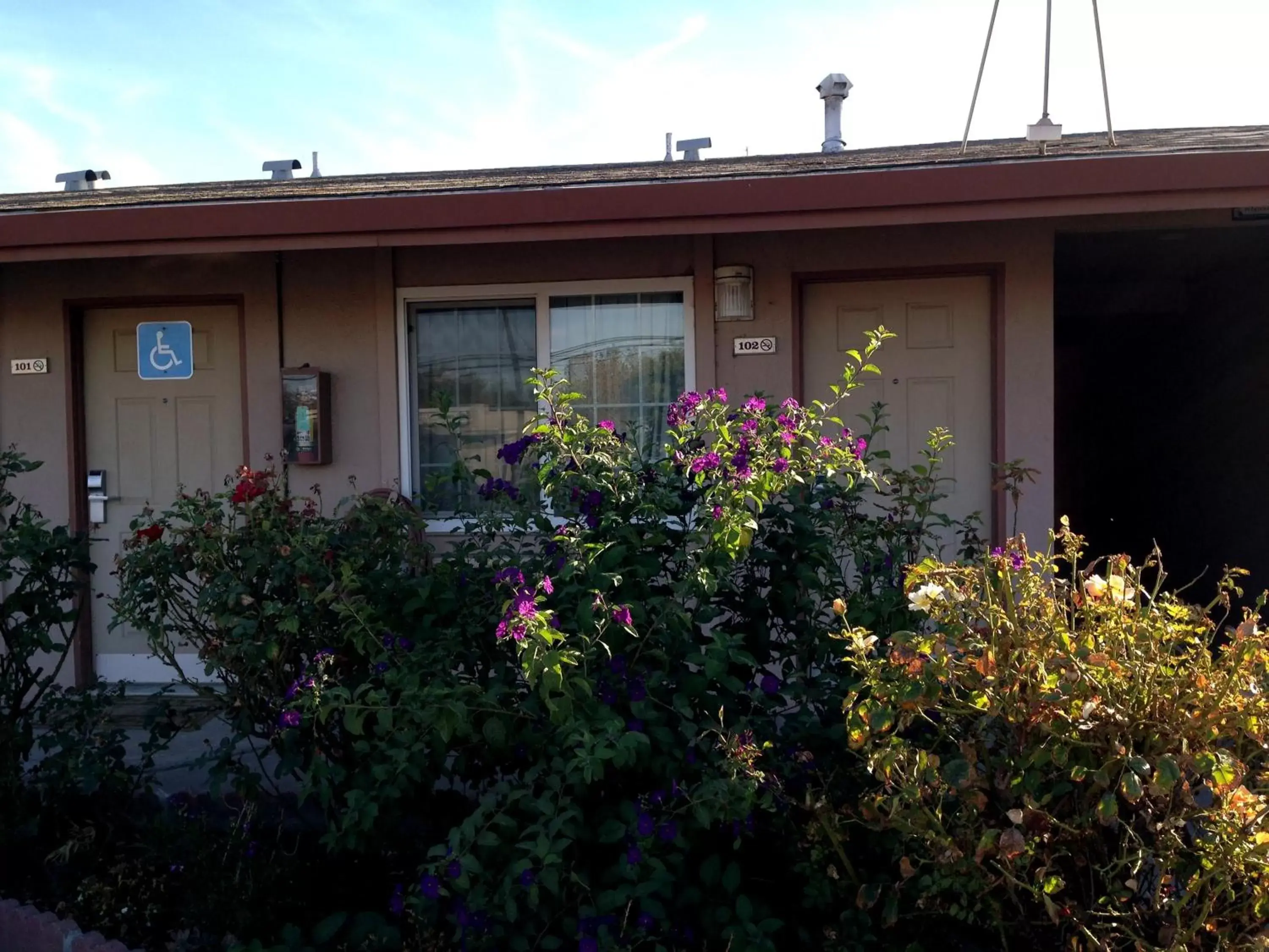 Decorative detail, Property Building in Maple Inn and Suites Los Banos