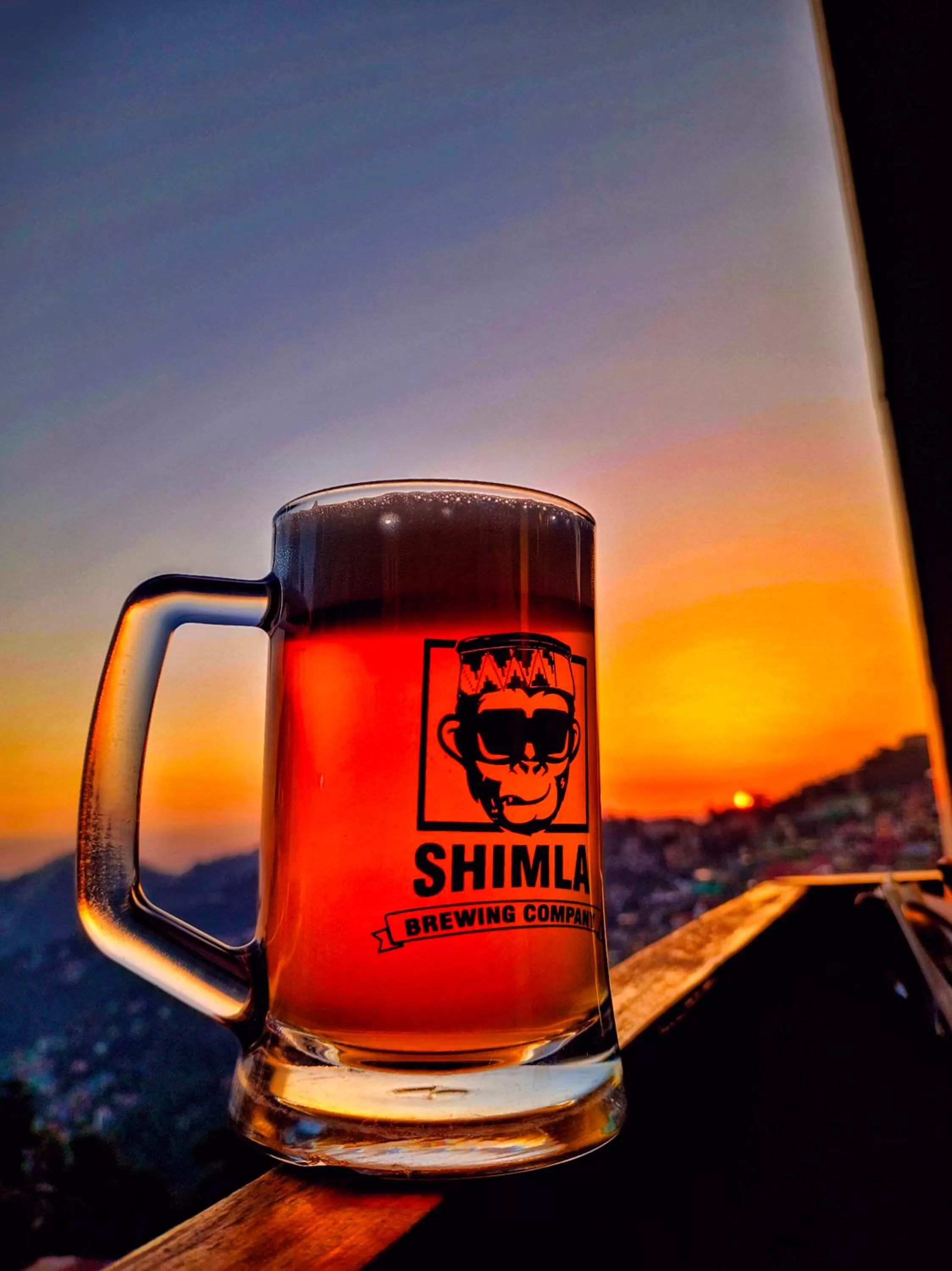 Alcoholic drinks in Hotel Willow Banks Shimla