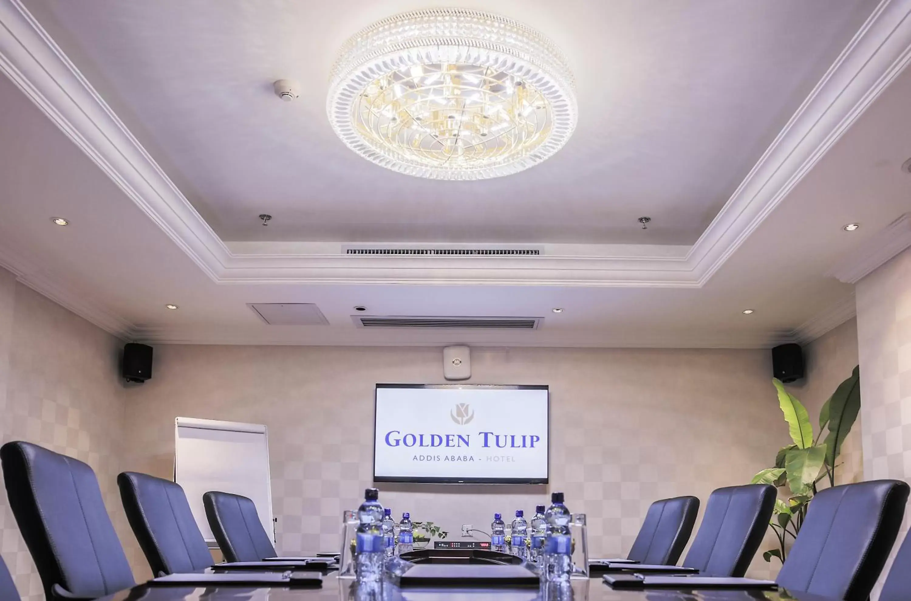 Business facilities in Golden Tulip Addis Ababa