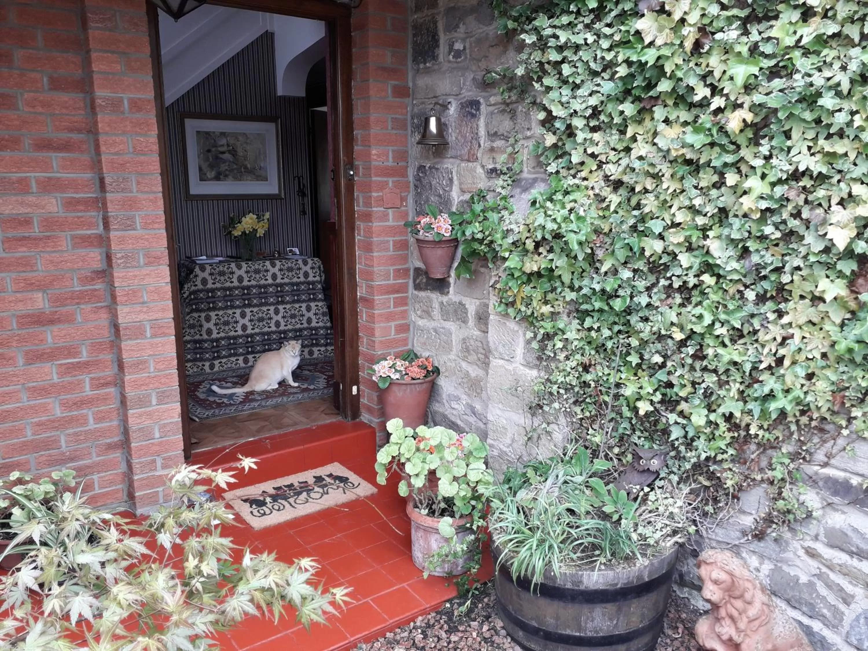 Pets in Thornley House