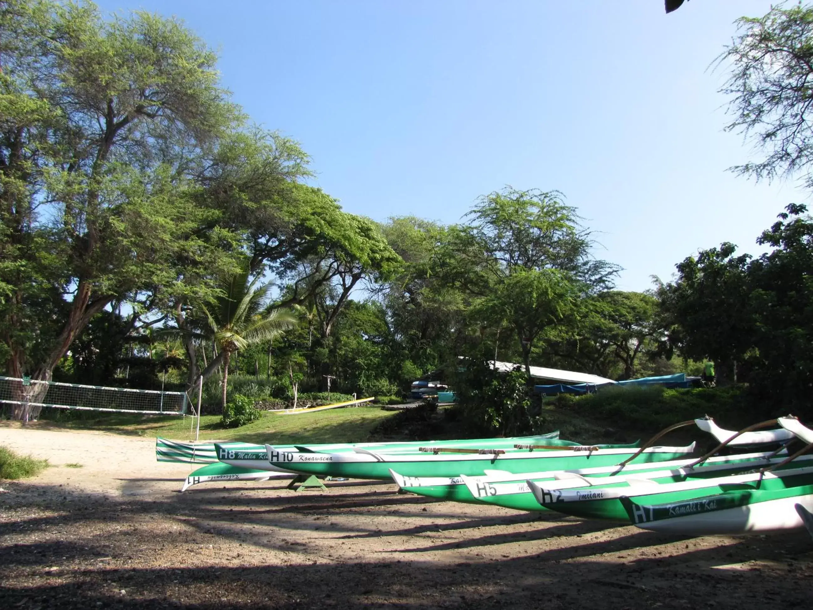 Fishing in Coffee Garden