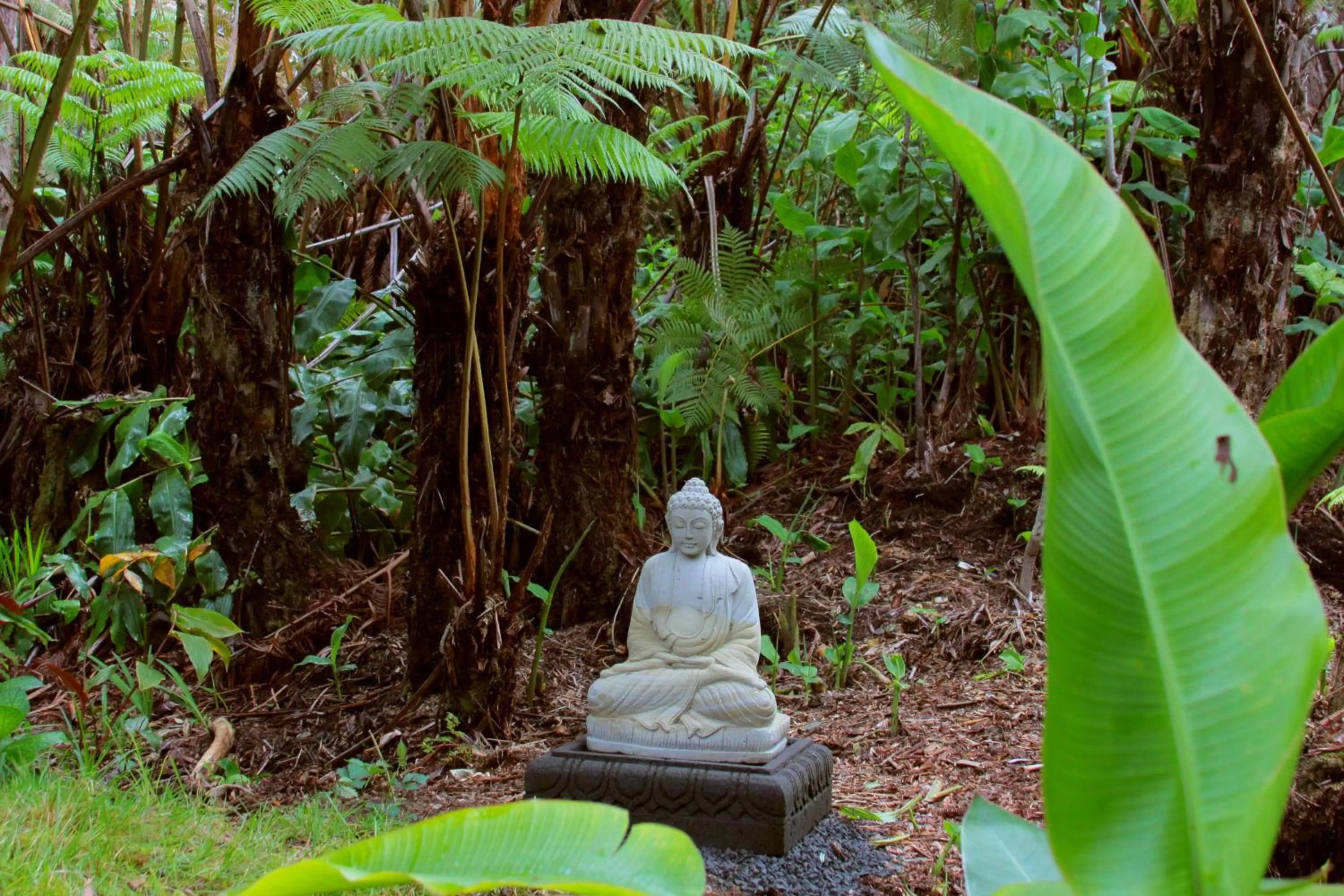 Garden in Lotus Garden Cottages