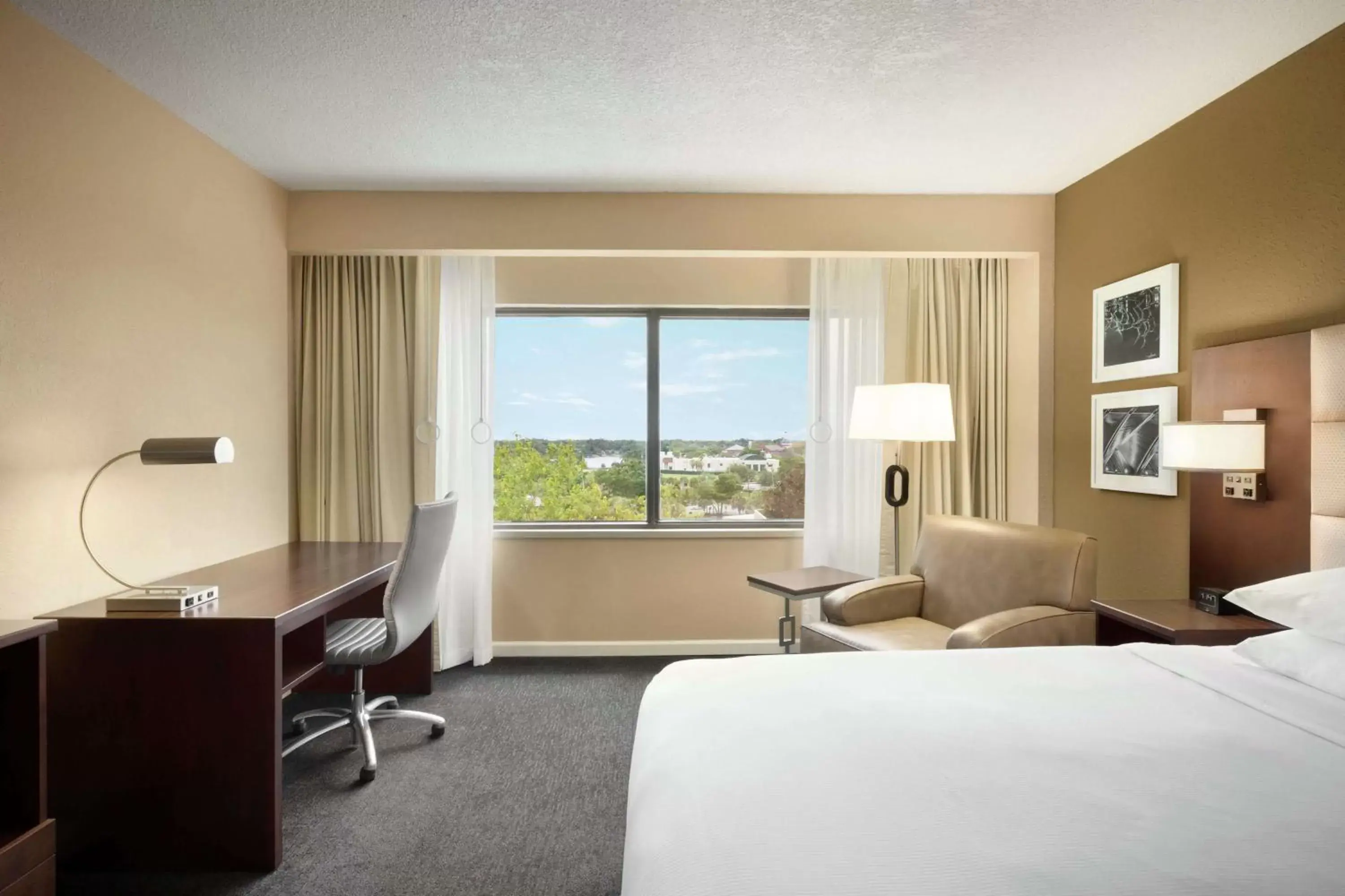 Photo of the whole room, Mountain View in DoubleTree by Hilton Orlando Downtown