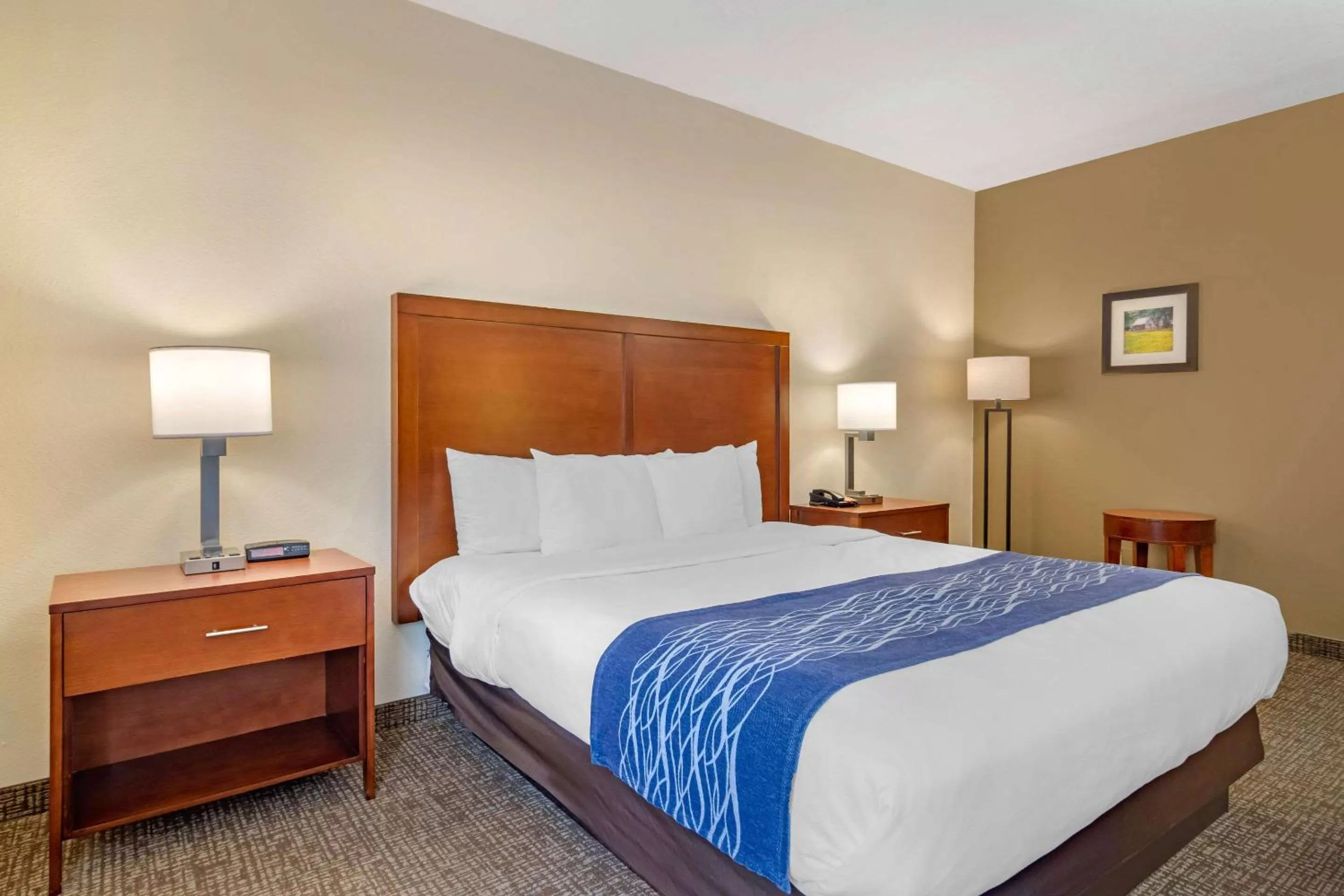 Photo of the whole room, Bed in Comfort Inn Douglasville - Atlanta West