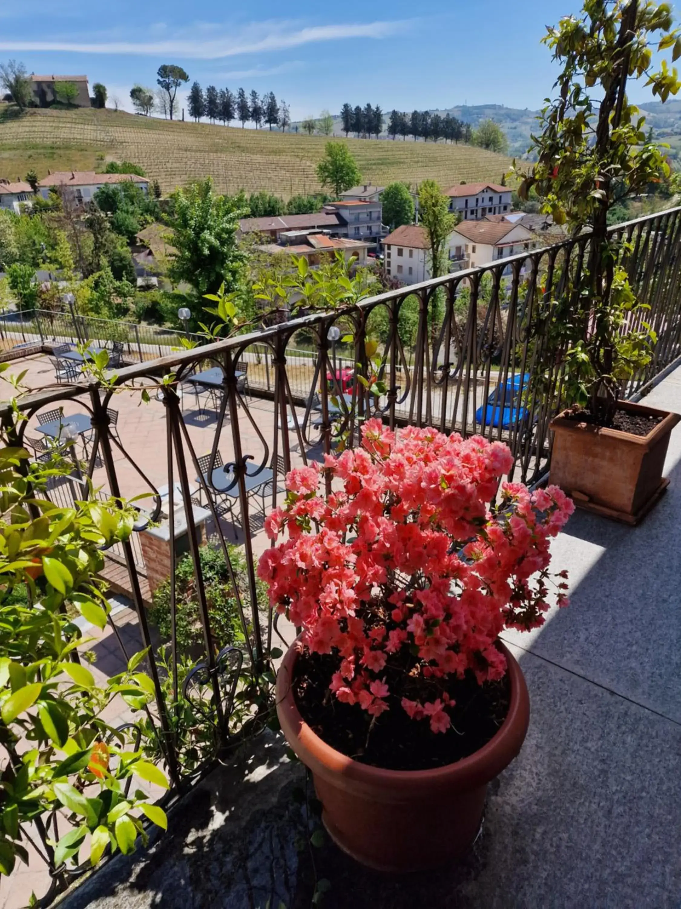 Balcony/Terrace in Hotel Villa Lauri