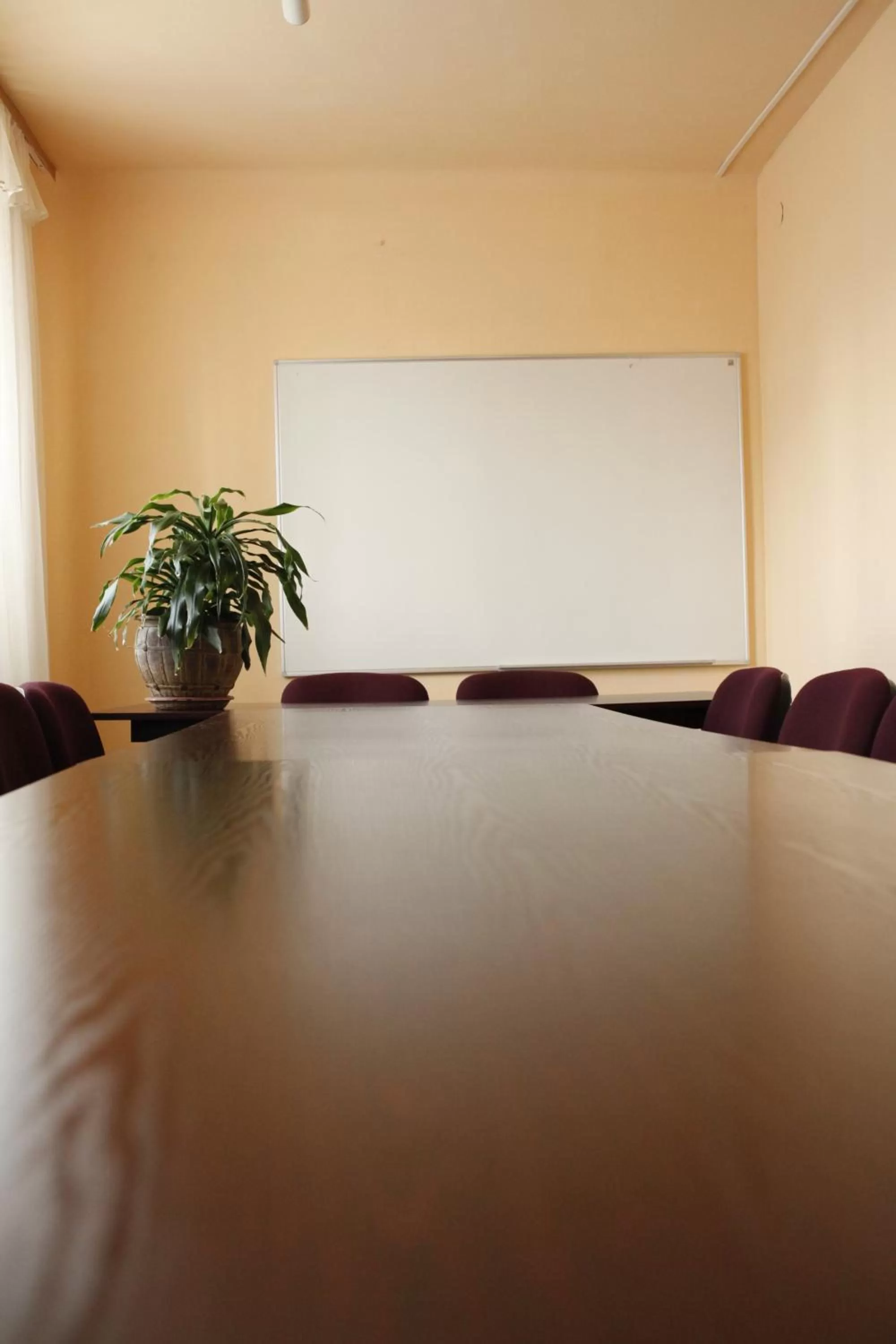 Meeting/conference room in Iskra
